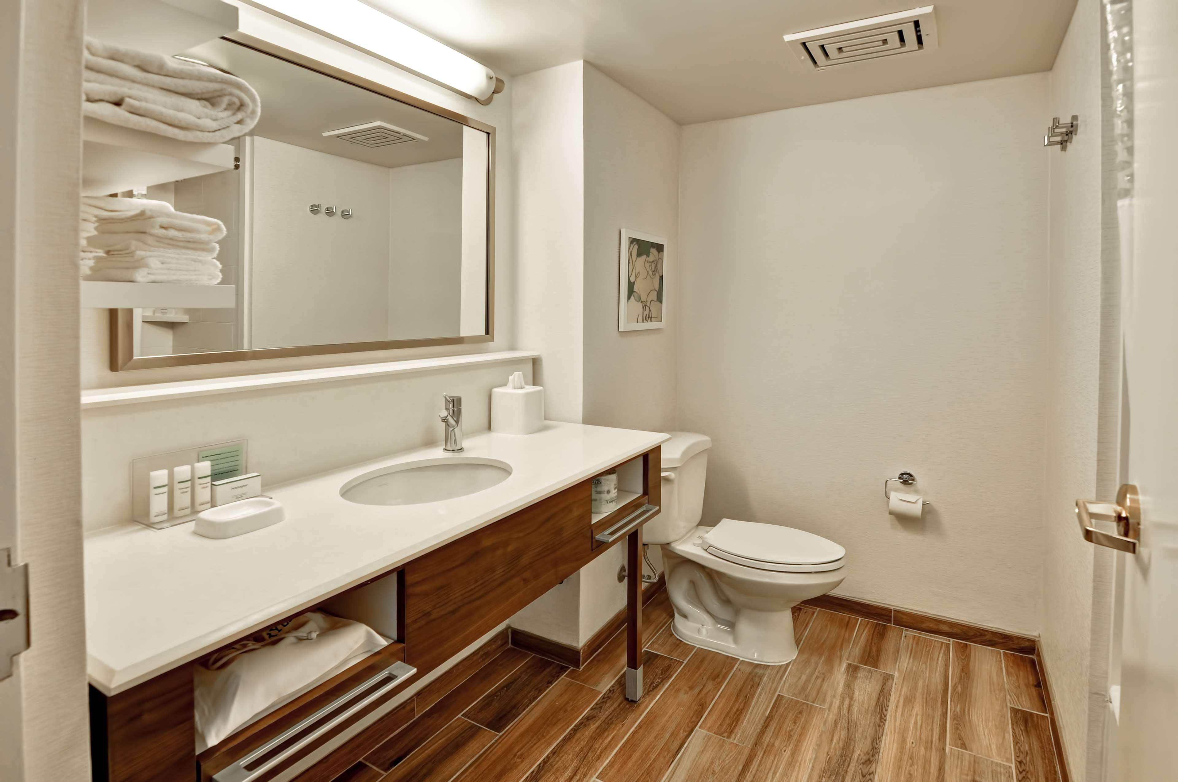 Suite King Bed One Bedroom 