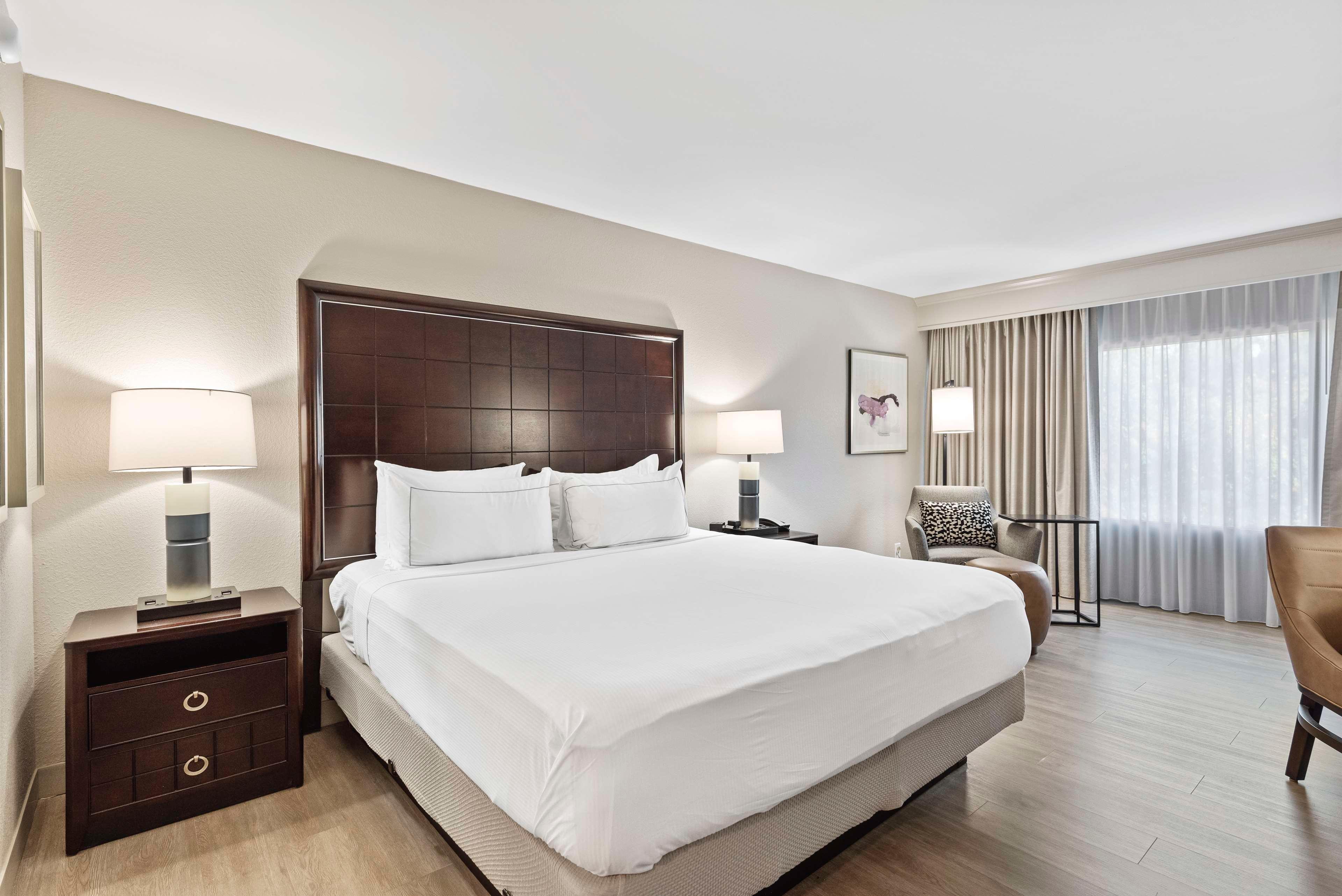 Double King Bed Non Smoking