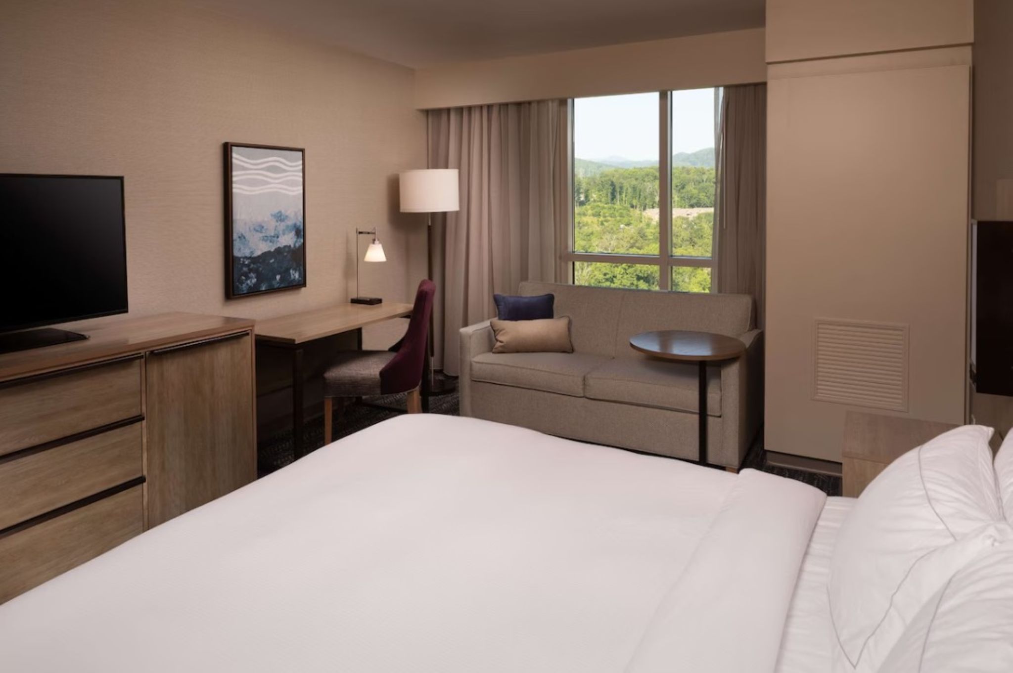 Suite Accessible King Size Bed