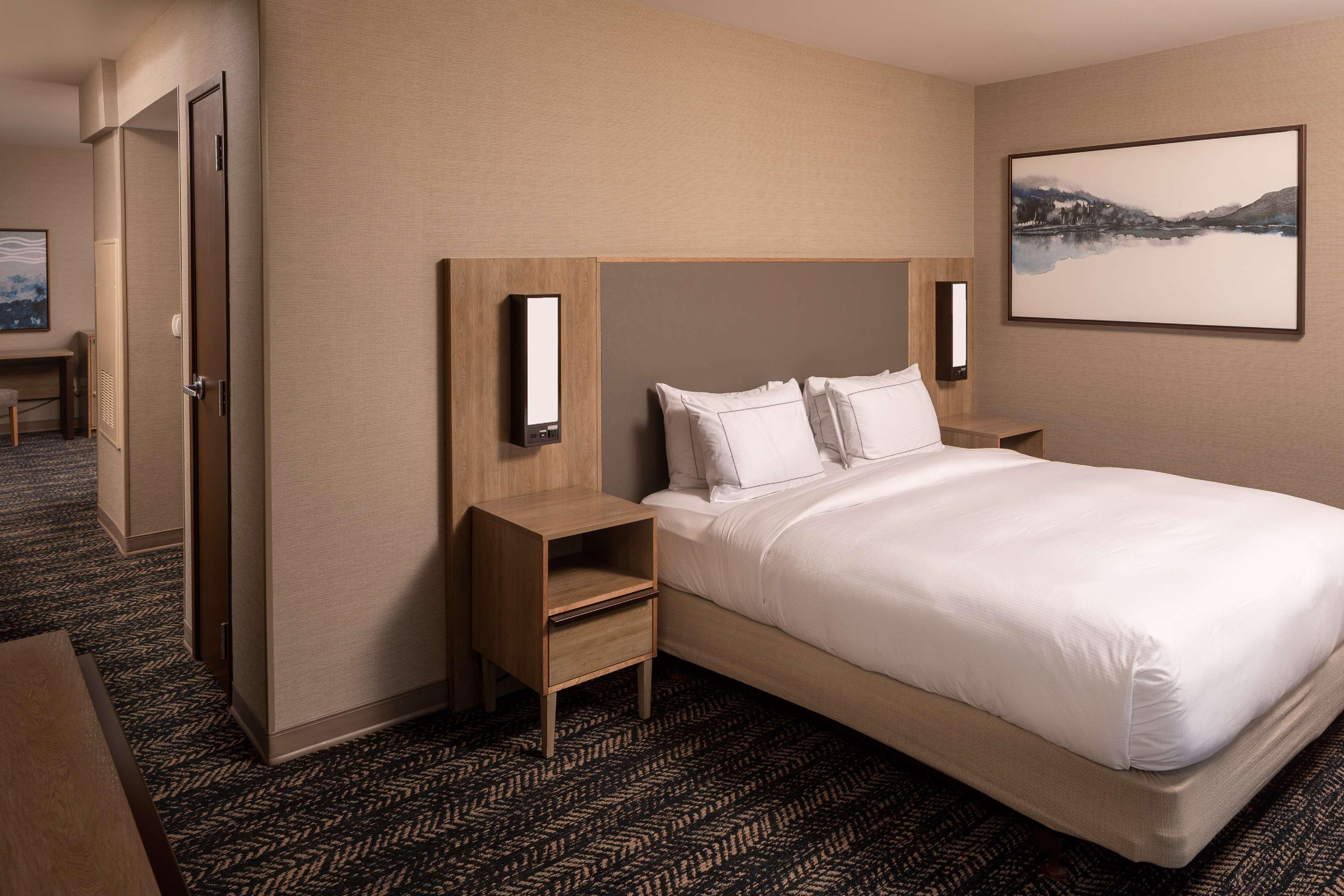 Suite Luxury One Bedroom