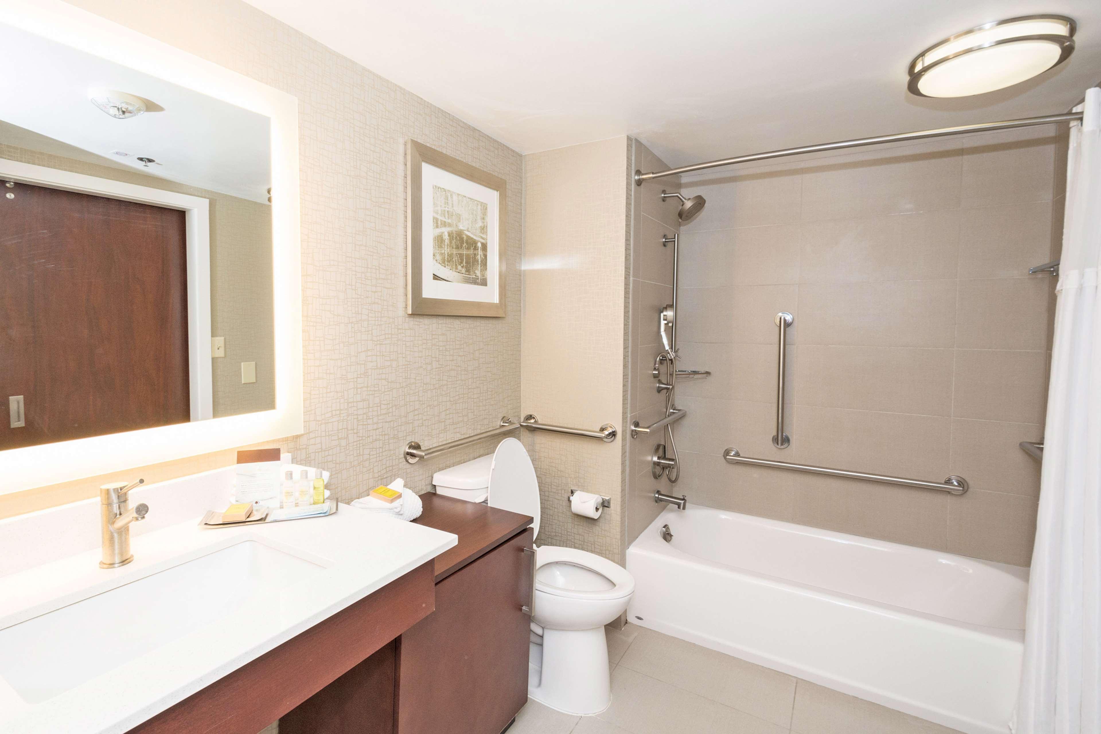 Suite King Bed One Bedroom 