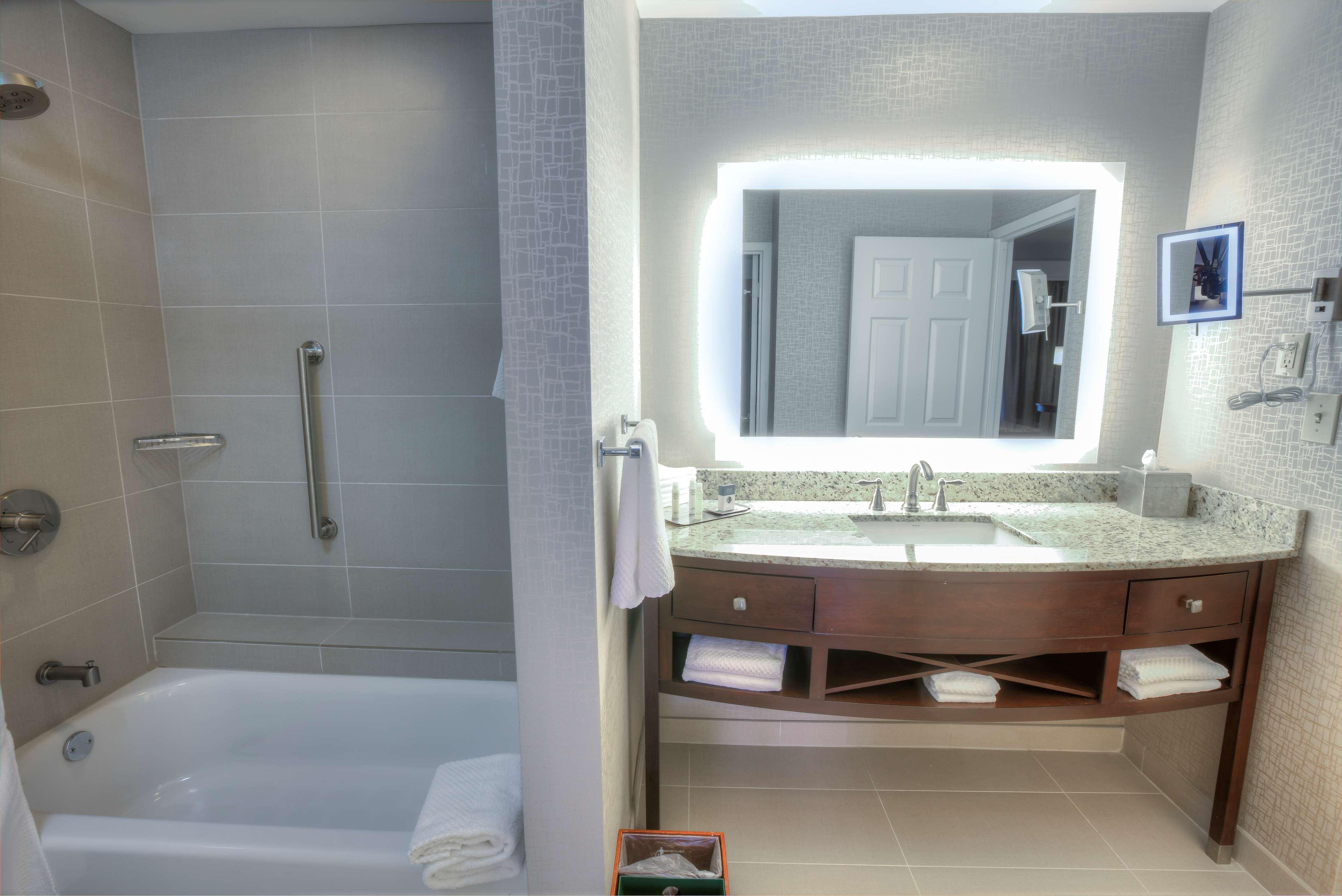 Suite King Bed One Bedroom 