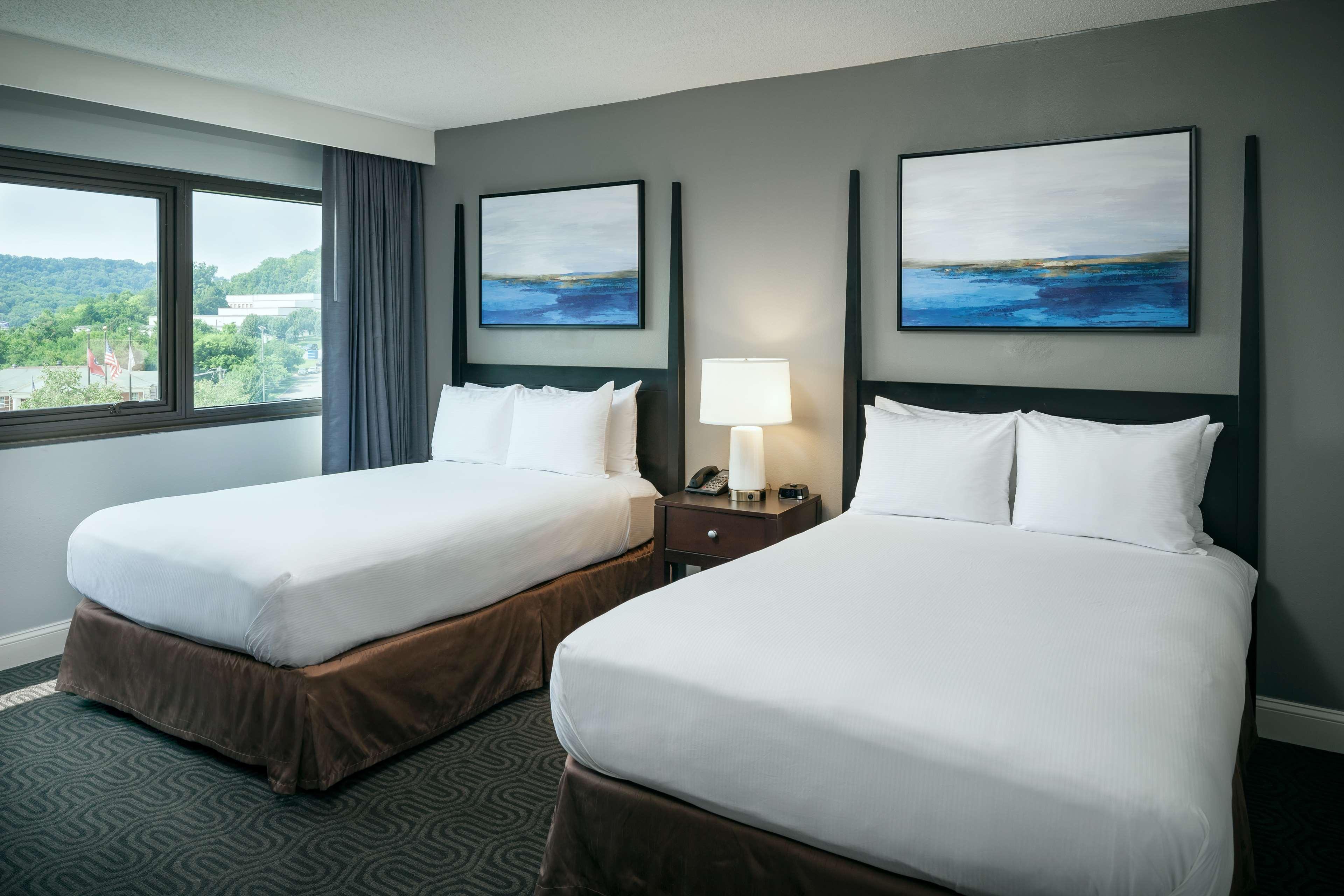 Suite Two Double Beds One Bedroom 