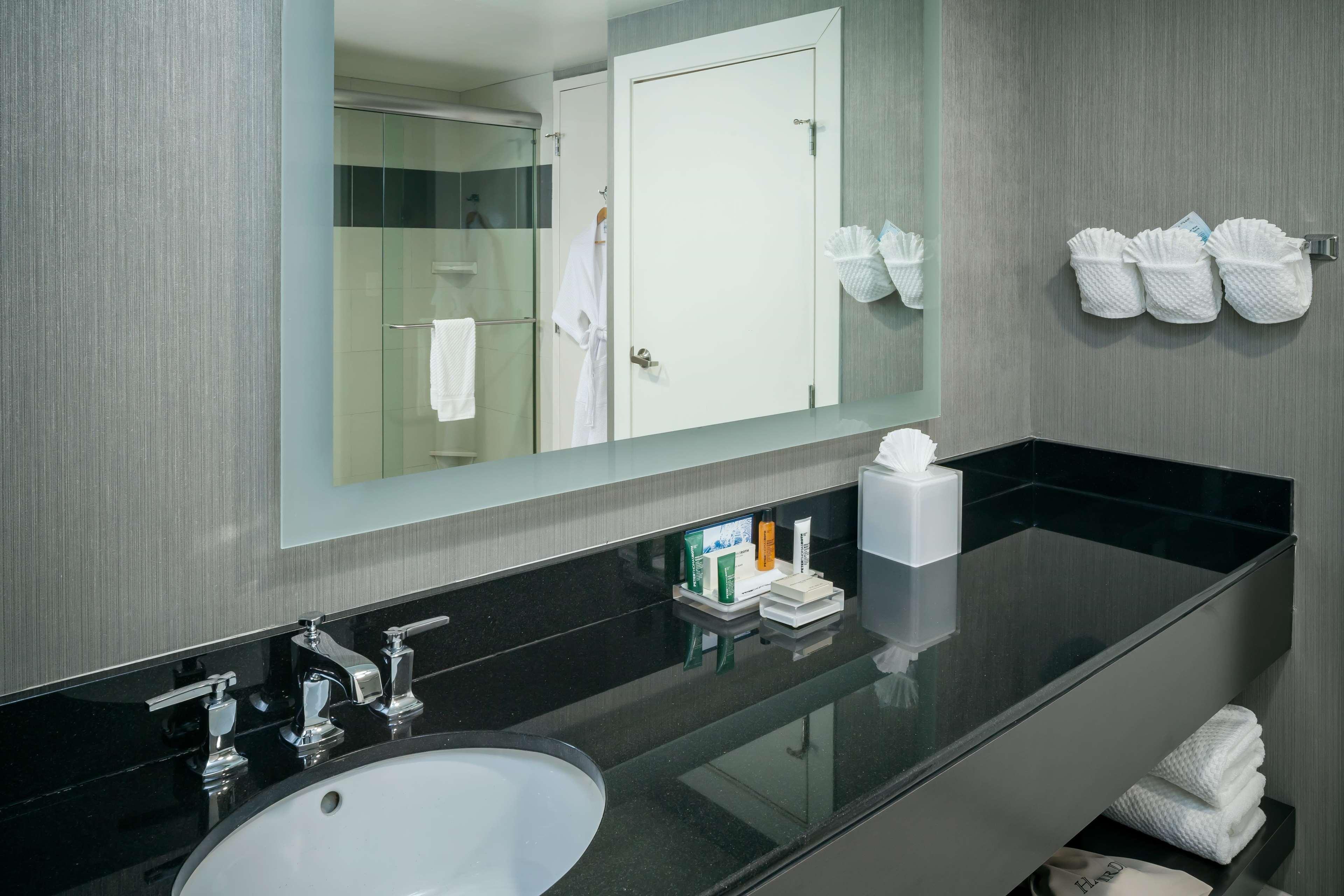 Suite King Bed One Bedroom 