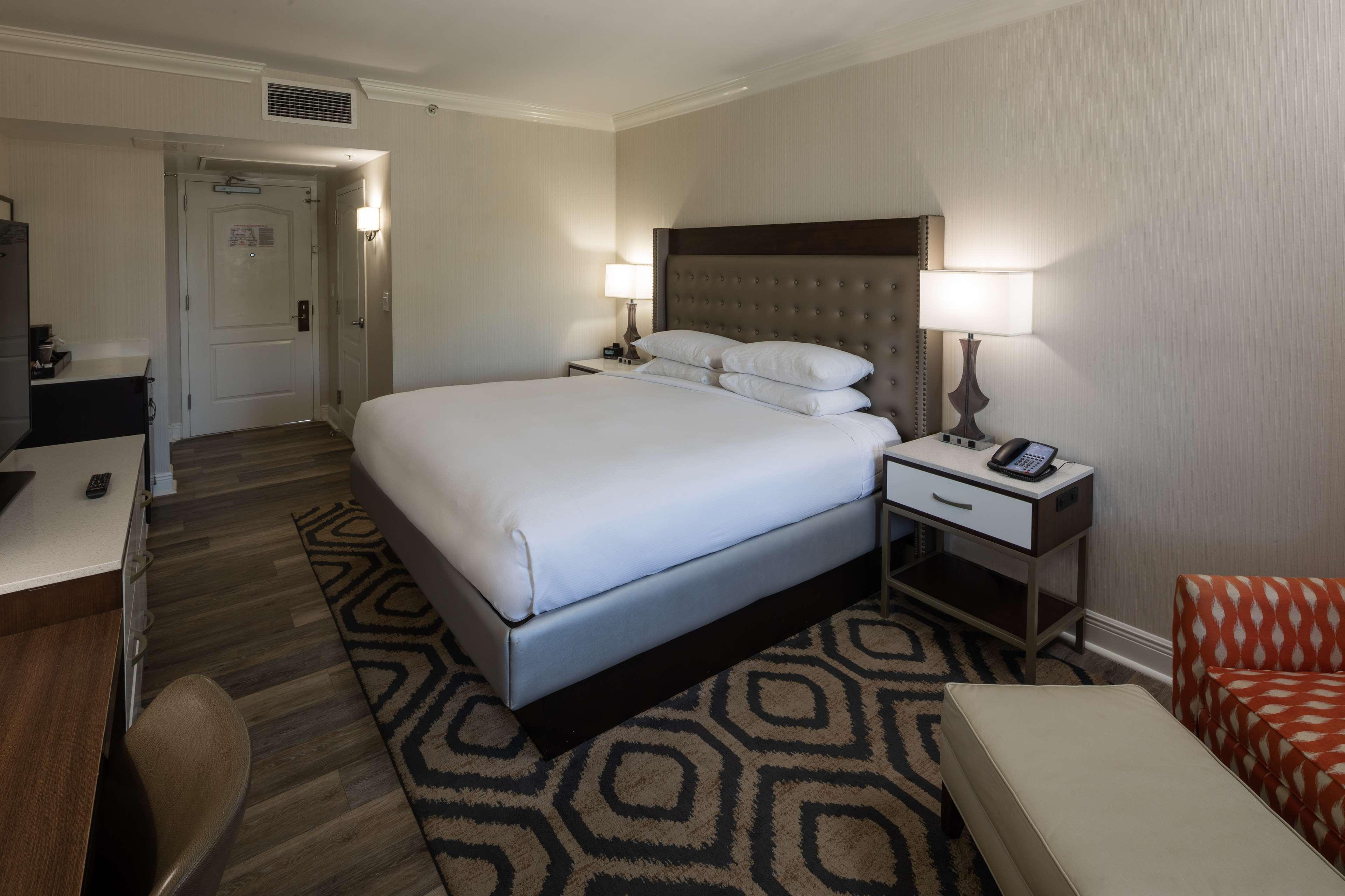 Double City View King Bed