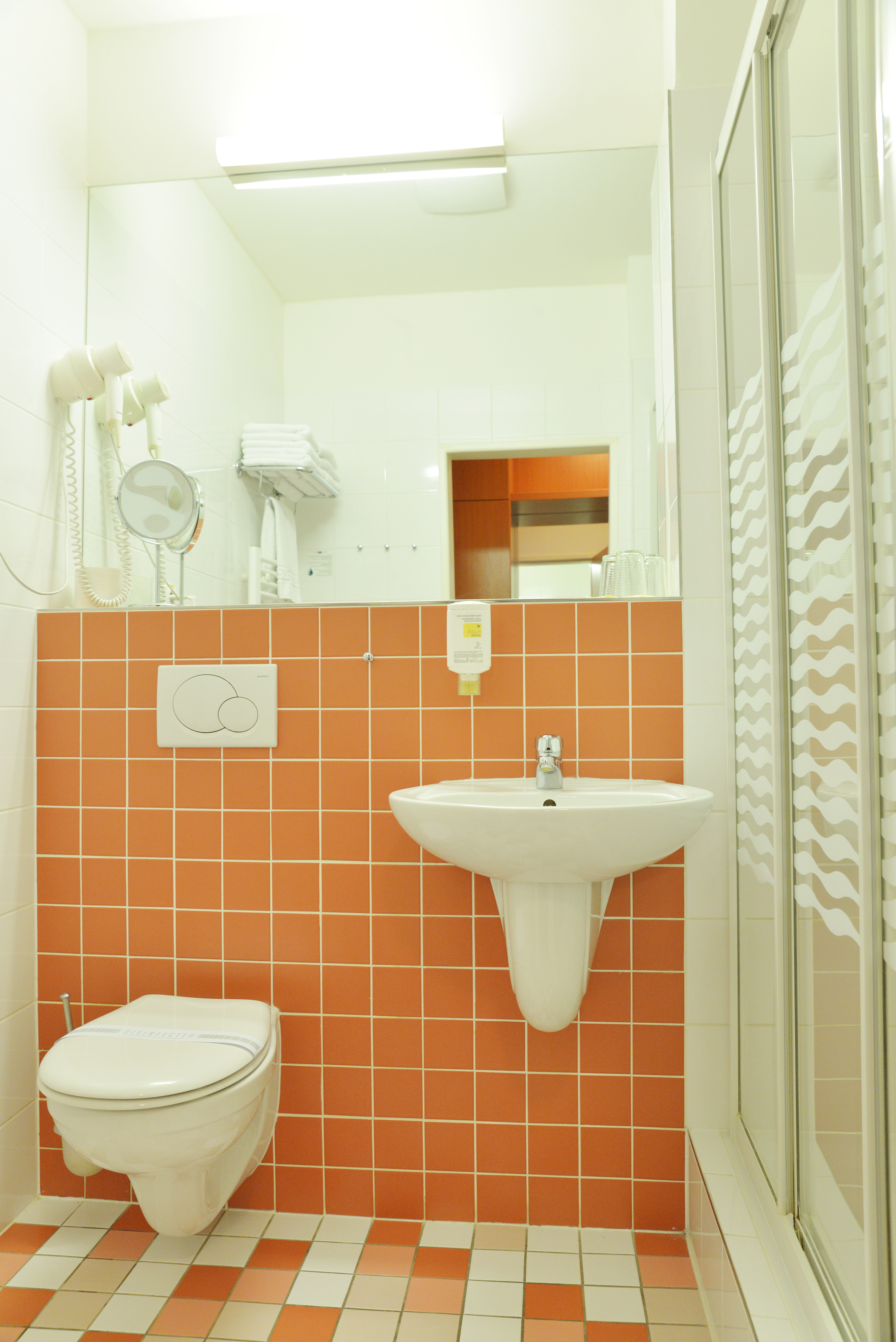 Double or Twin Standard