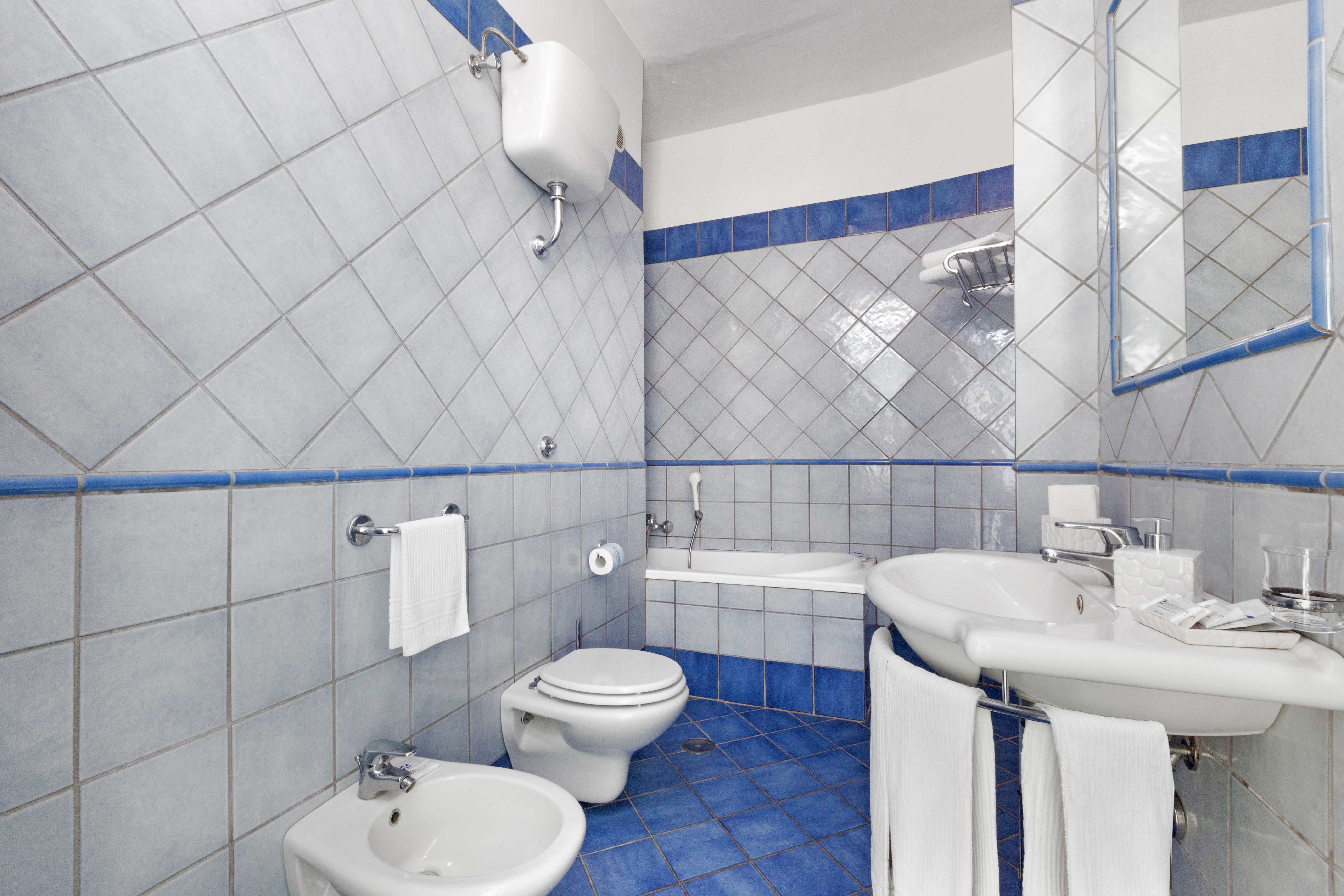 Double or Twin Superior