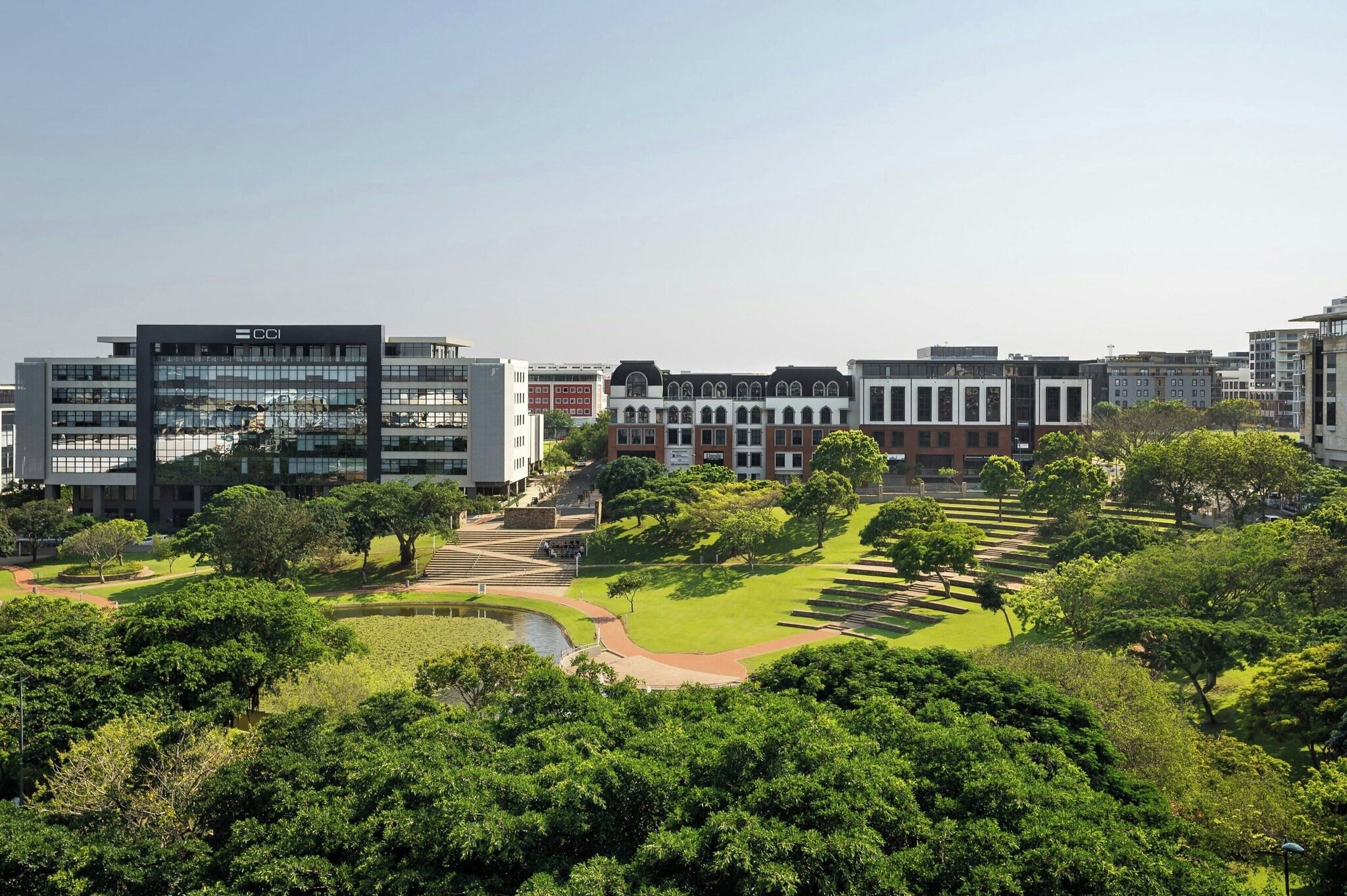 Suite Executive King Bed