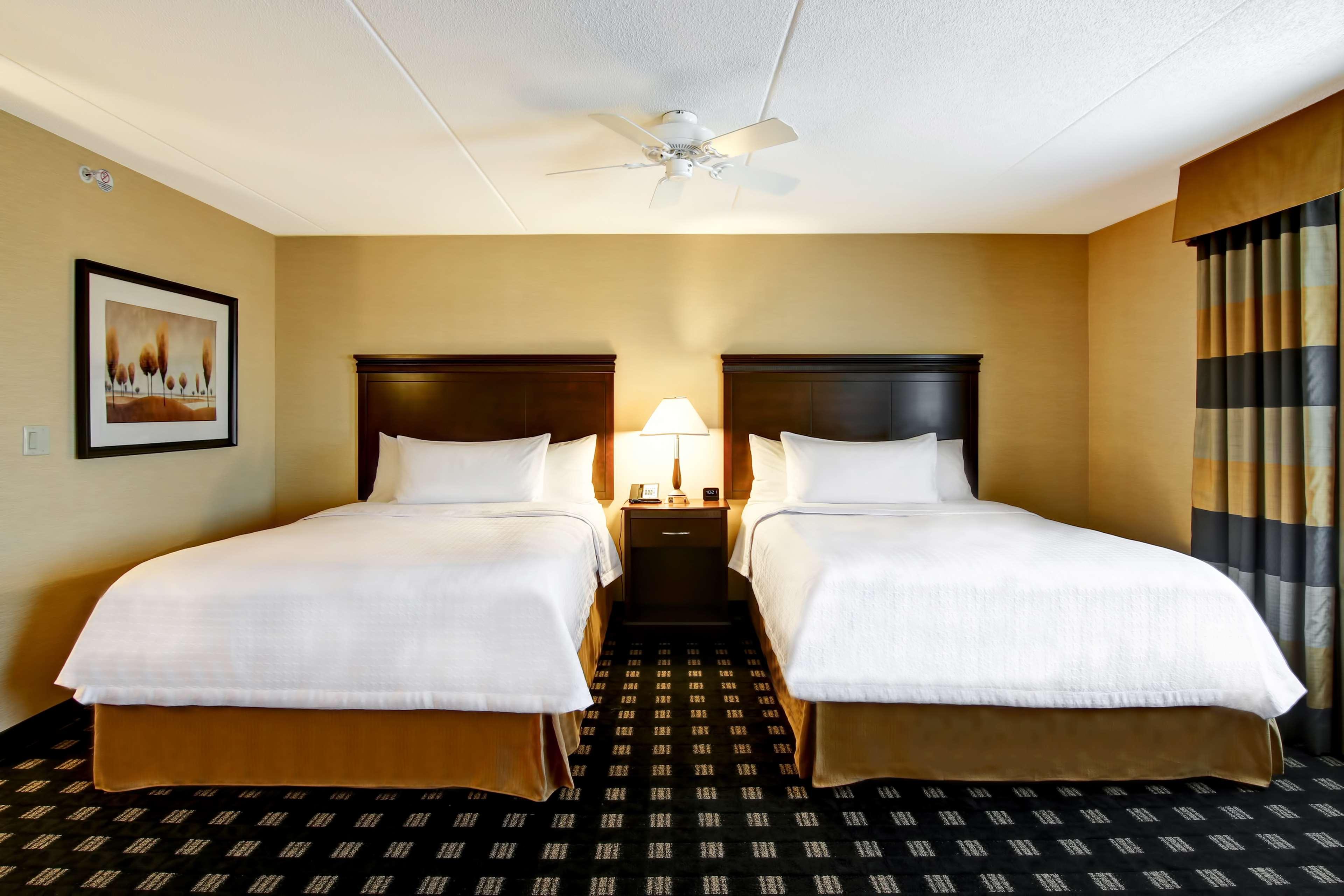 Studio Two Queen Beds Non Smoking