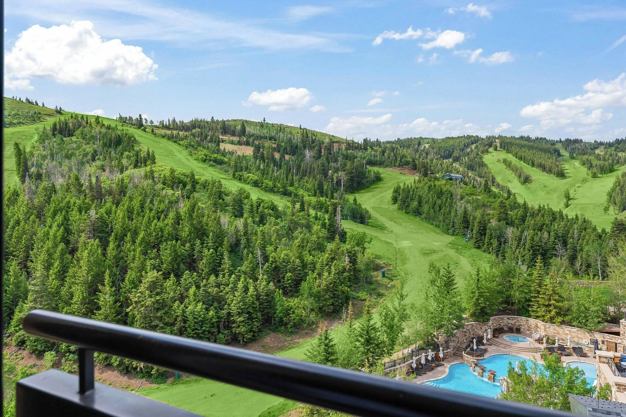 Suite with Views