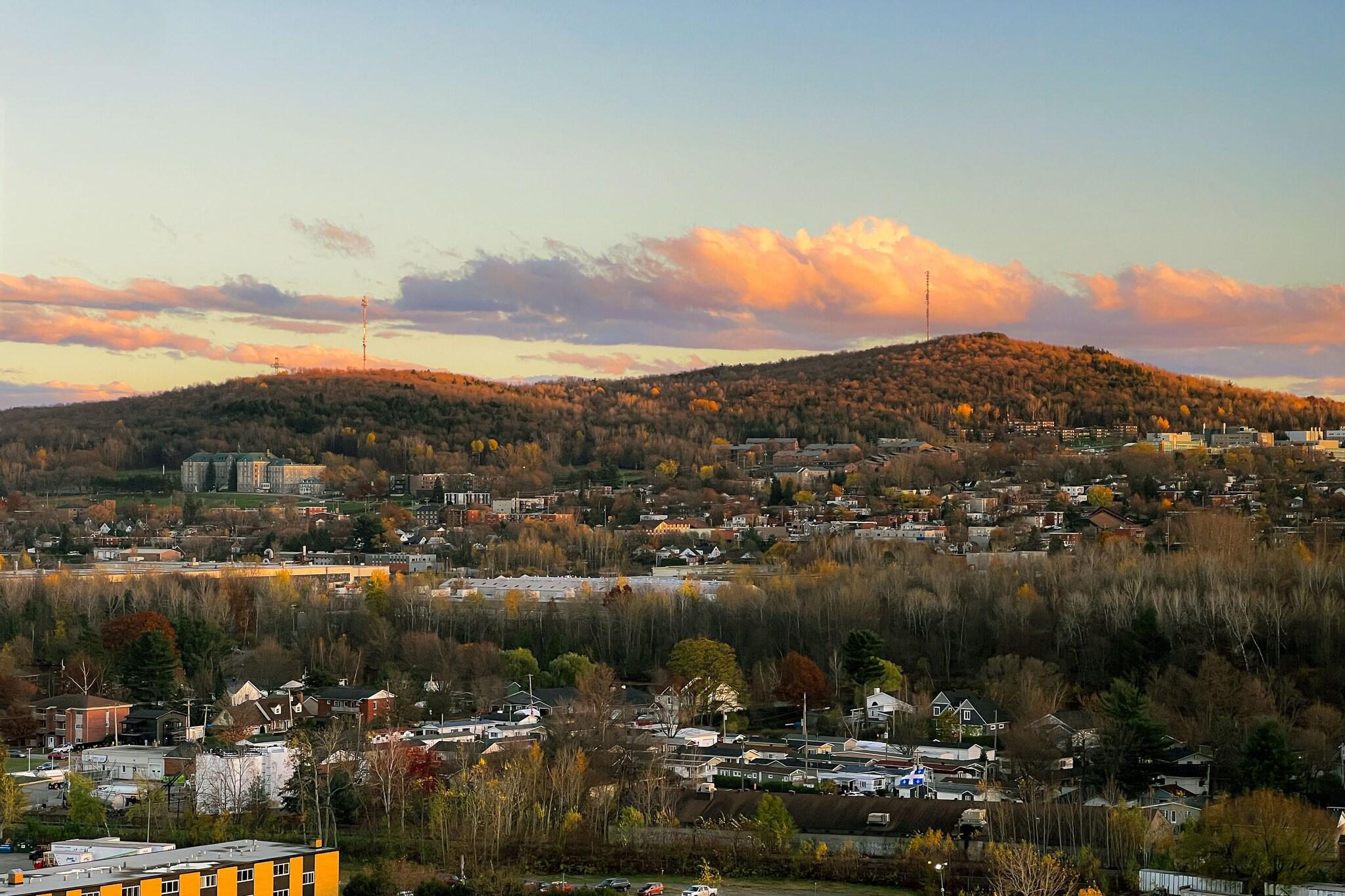 Suite King Bed One Bedroom 