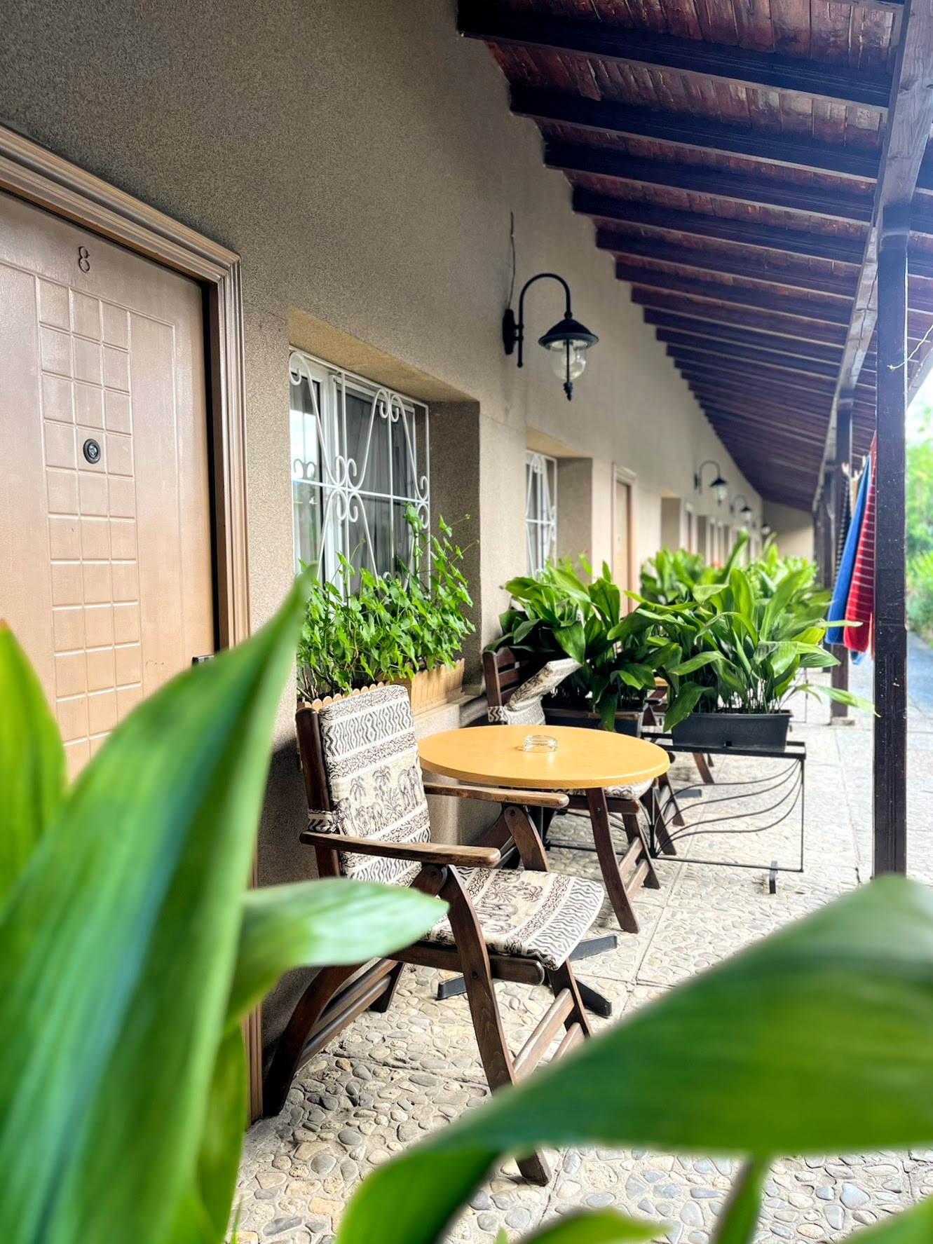 Double or Twin Economy