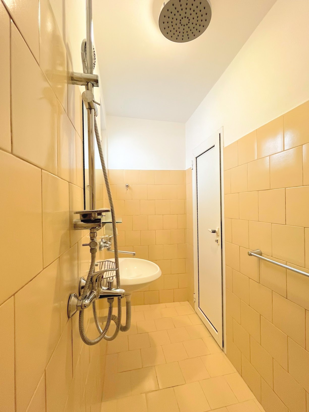 Double or Twin Economy