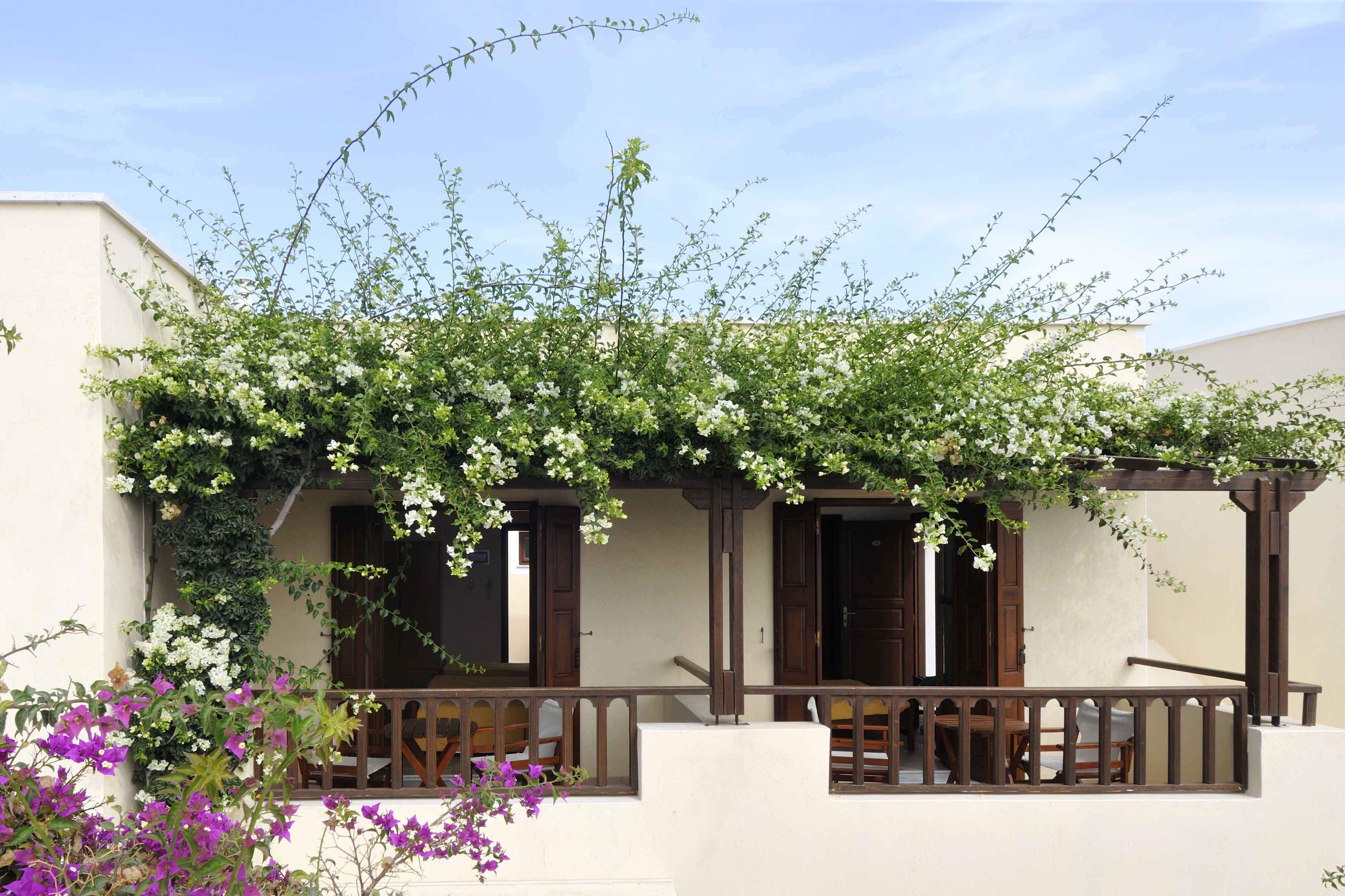 Double or Twin Superior