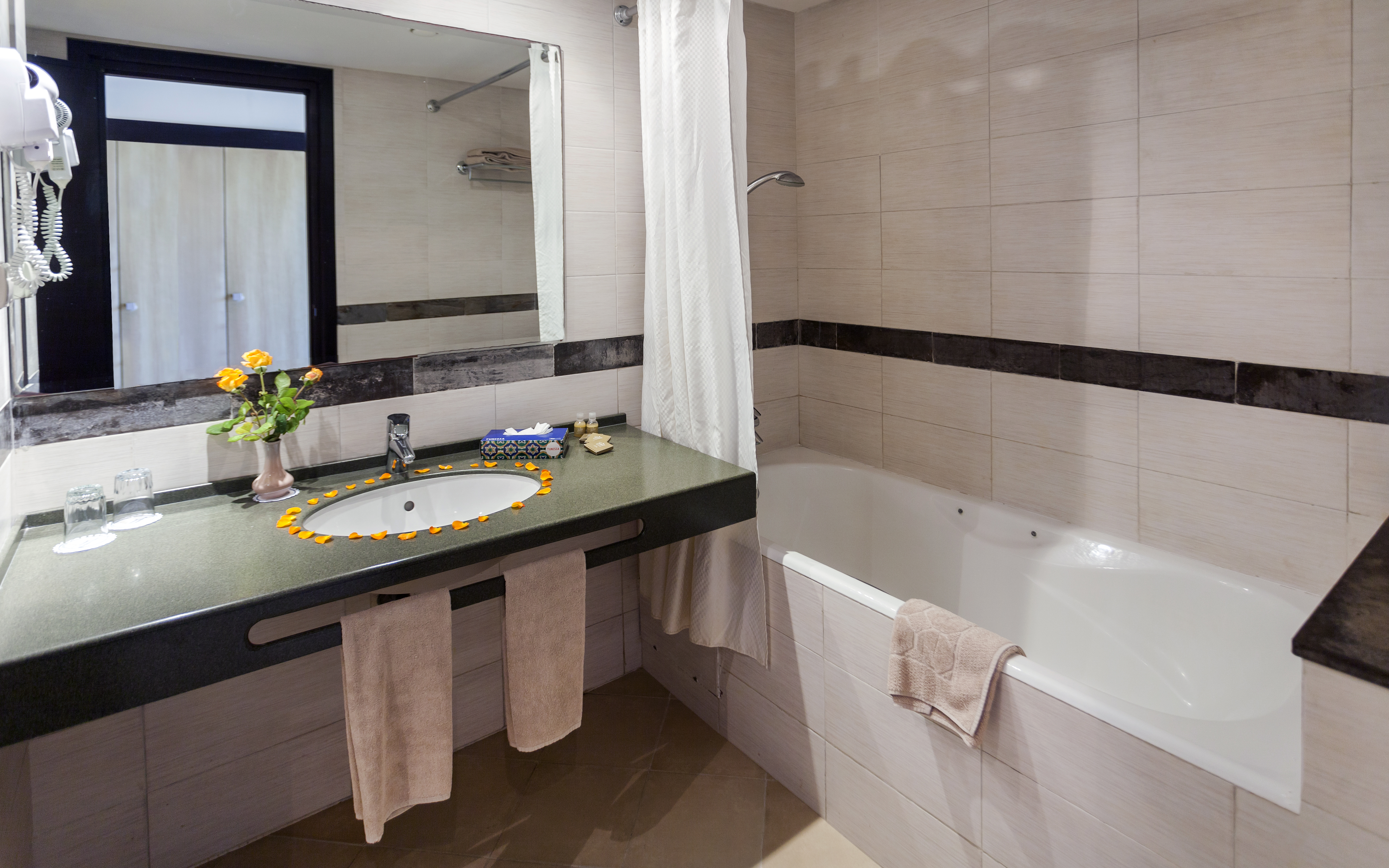 Double or Twin Superior