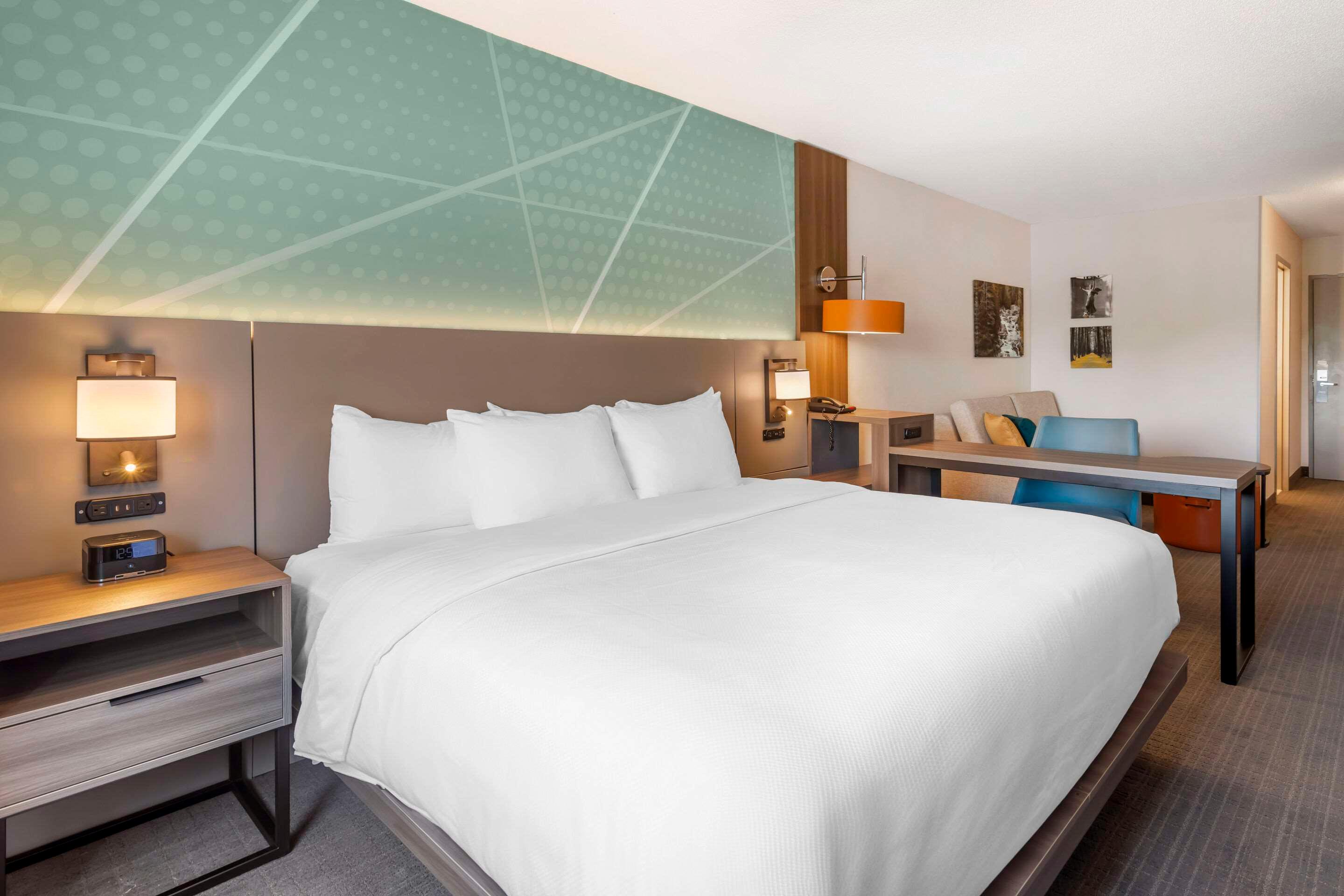 Suite King Bed Non Smoking