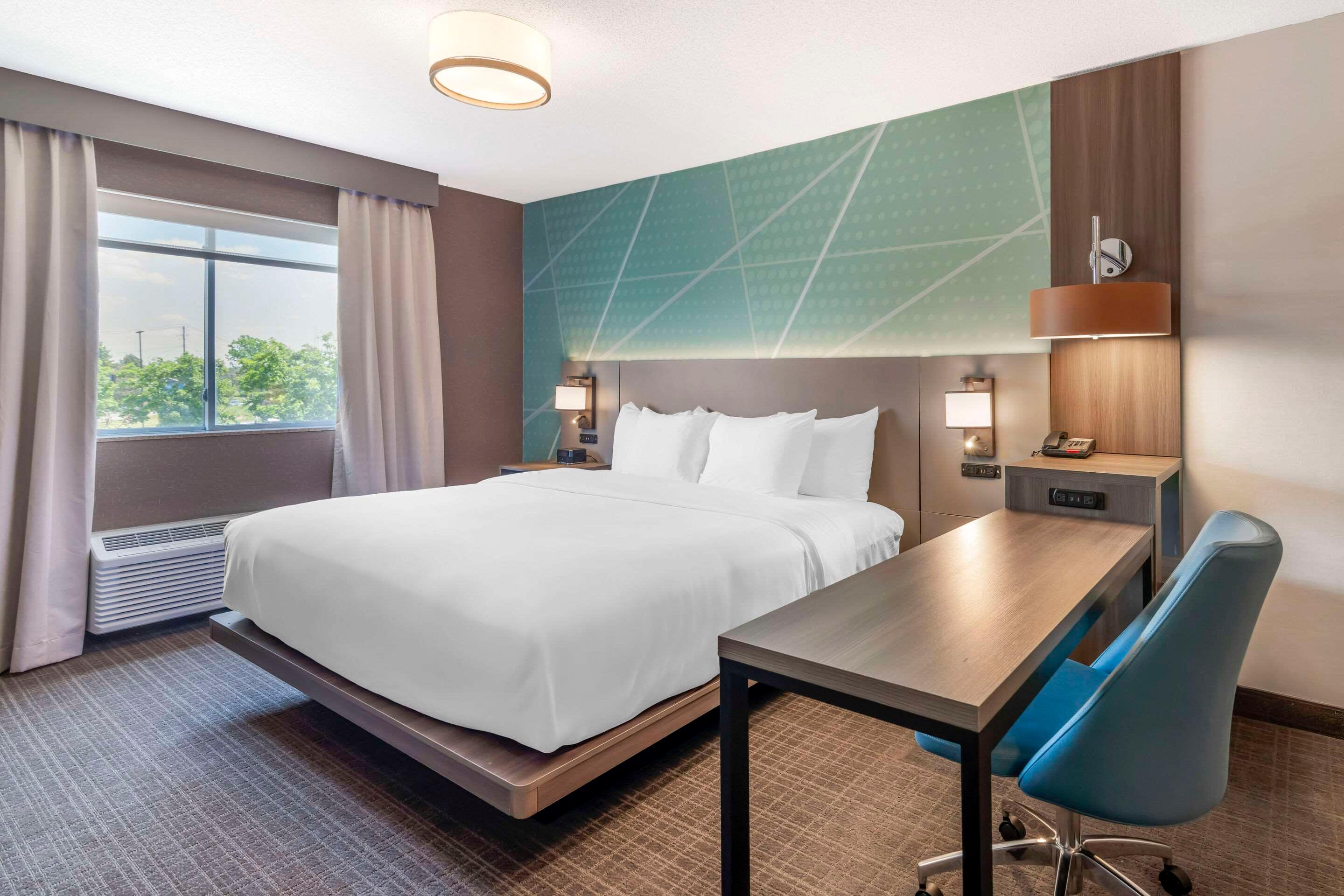 Suite King Bed Non Smoking