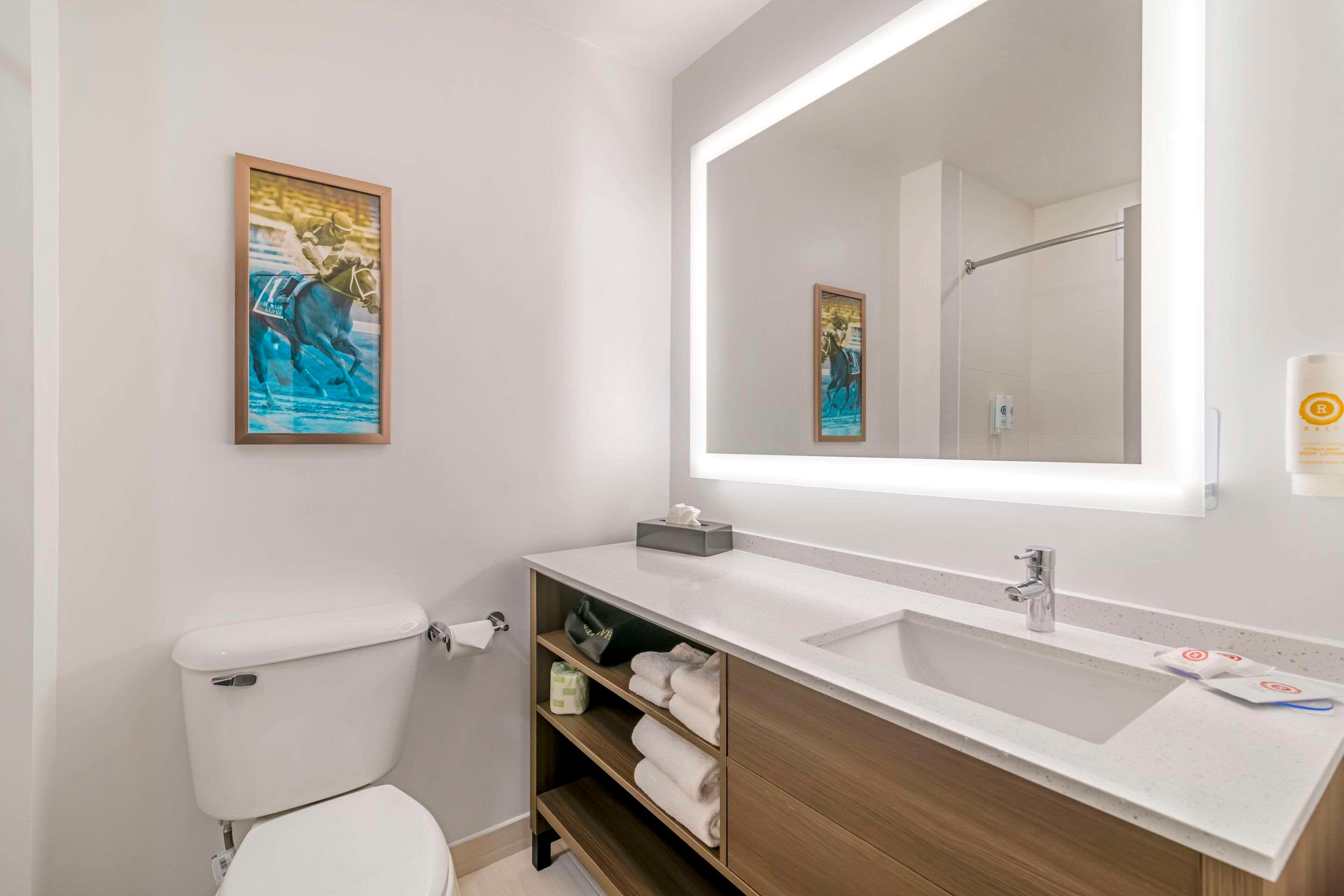 Double King Bed Non Smoking