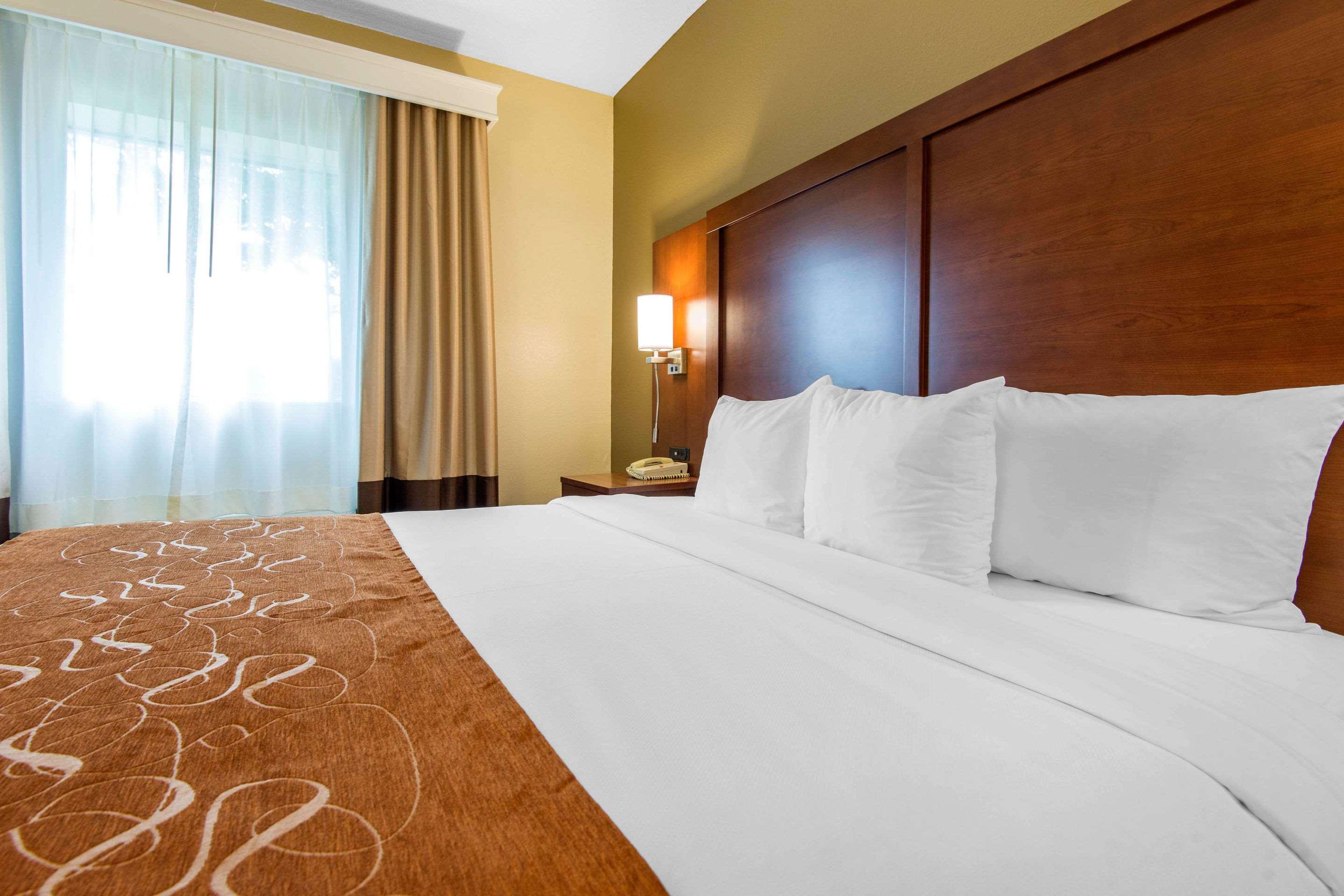 Suite King Bed Non Smoking