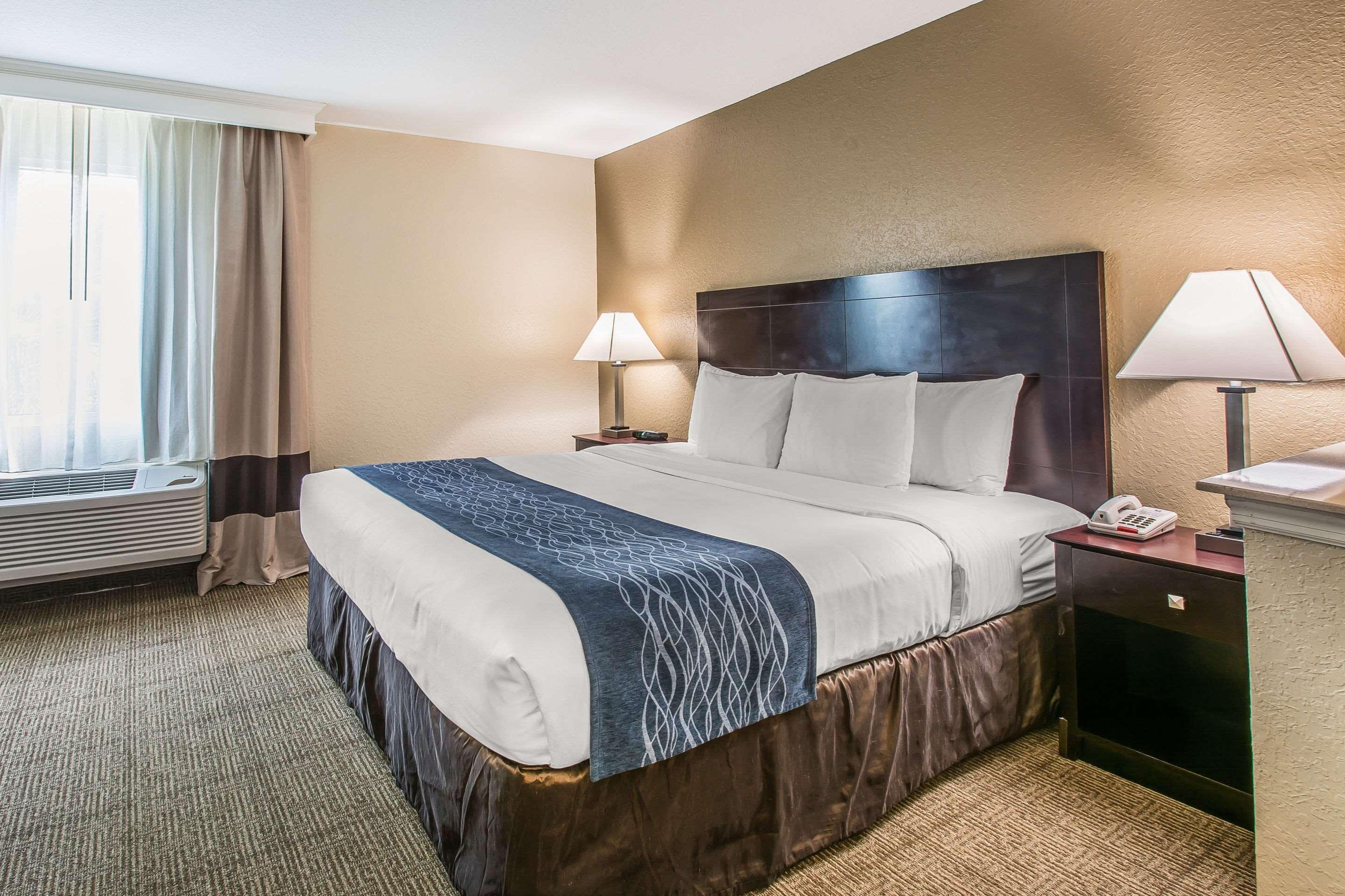 Suite King Bed Non Smoking