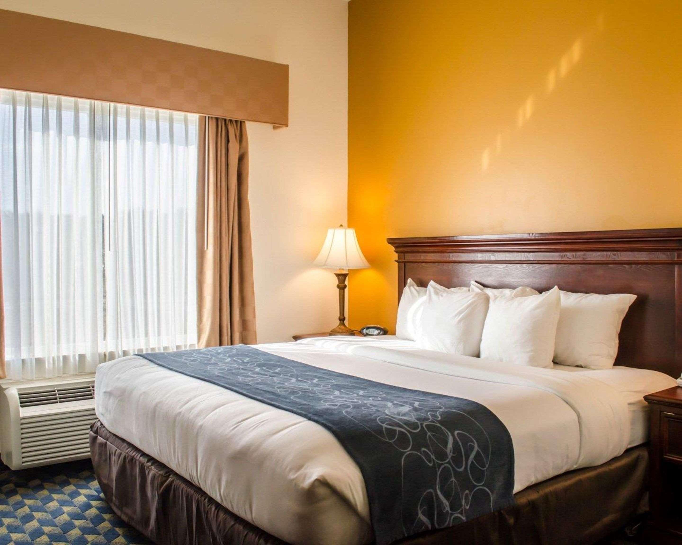 Suite King Bed Non Smoking