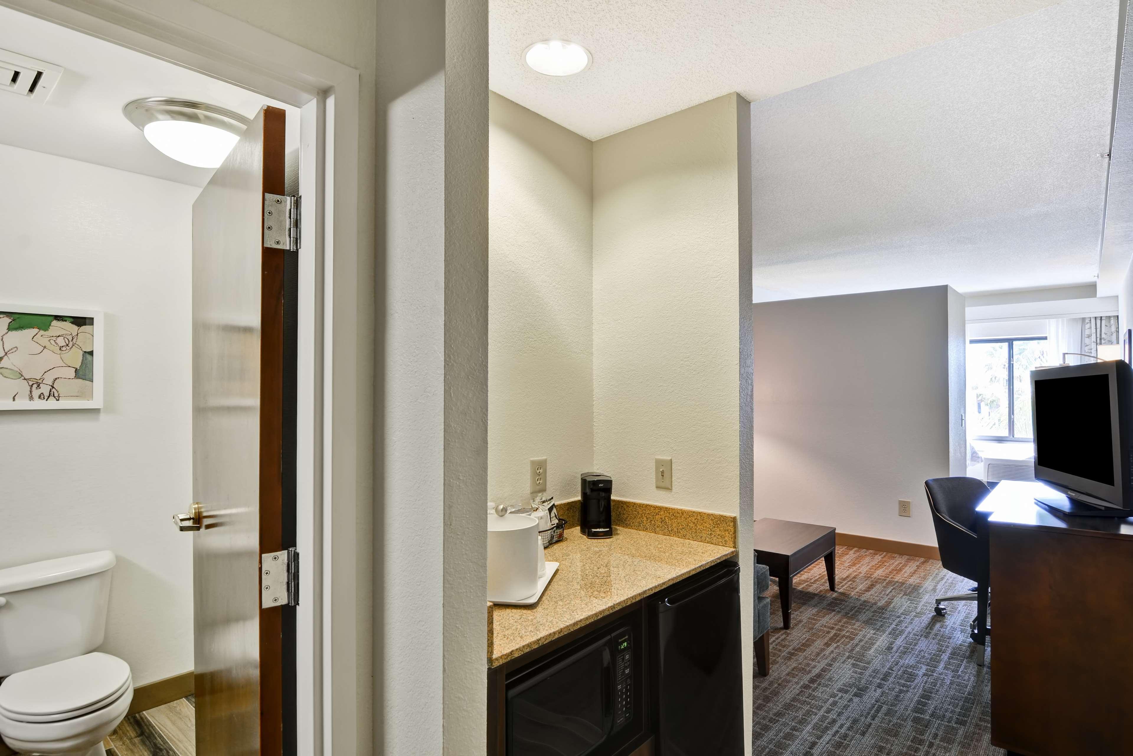 Suite King Bed One Bedroom 