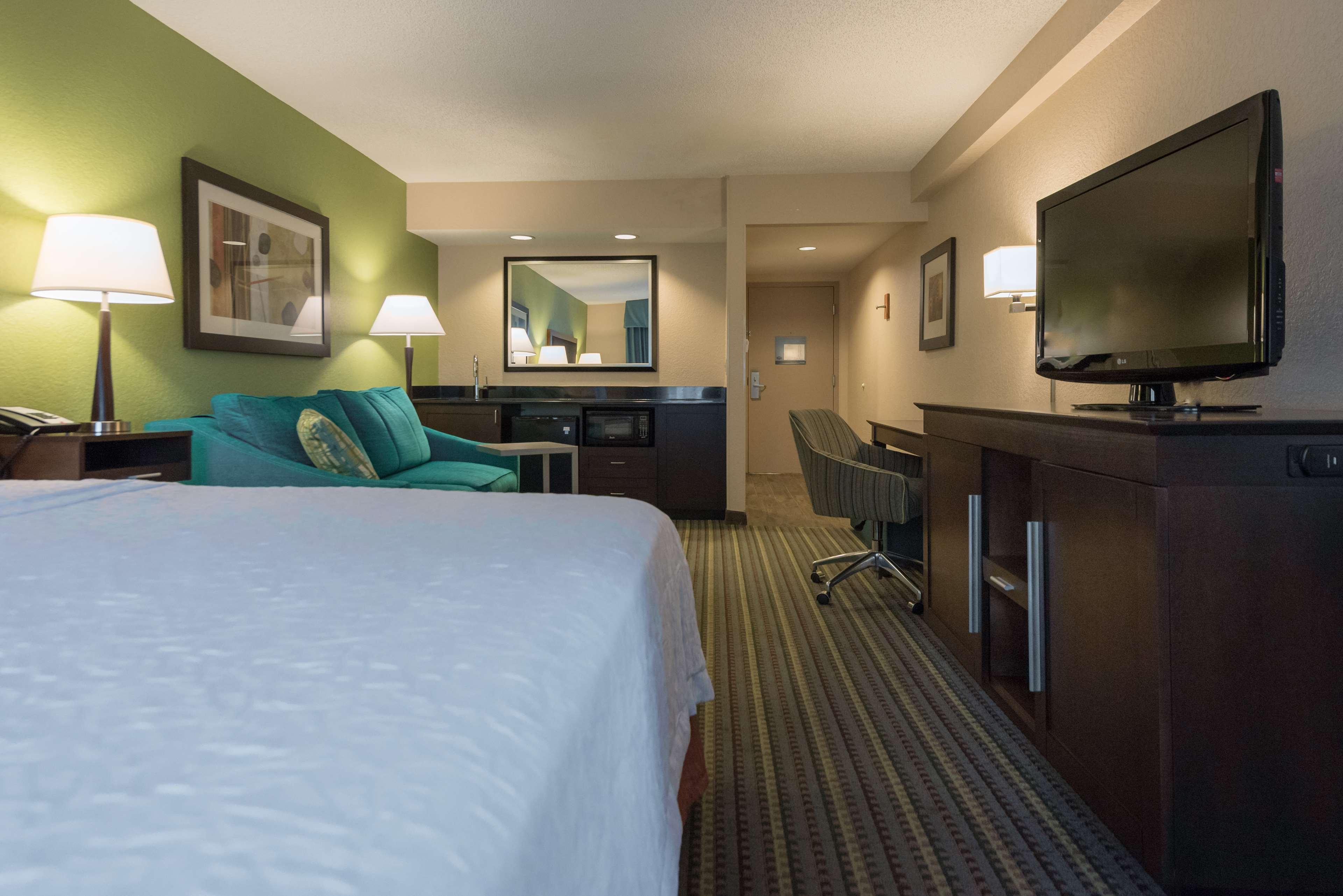 Suite King Bed One Bedroom 