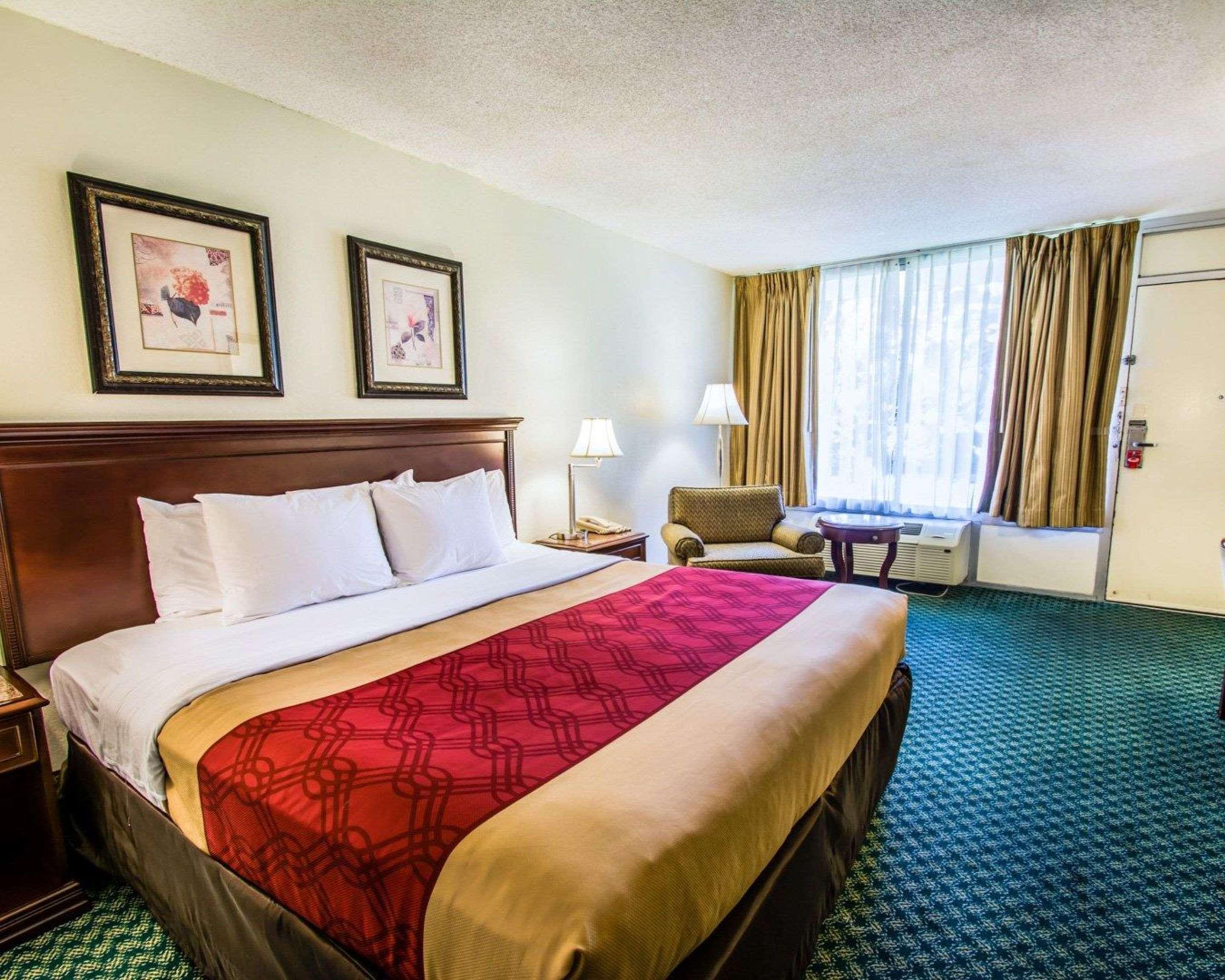 Double King Bed Non Smoking