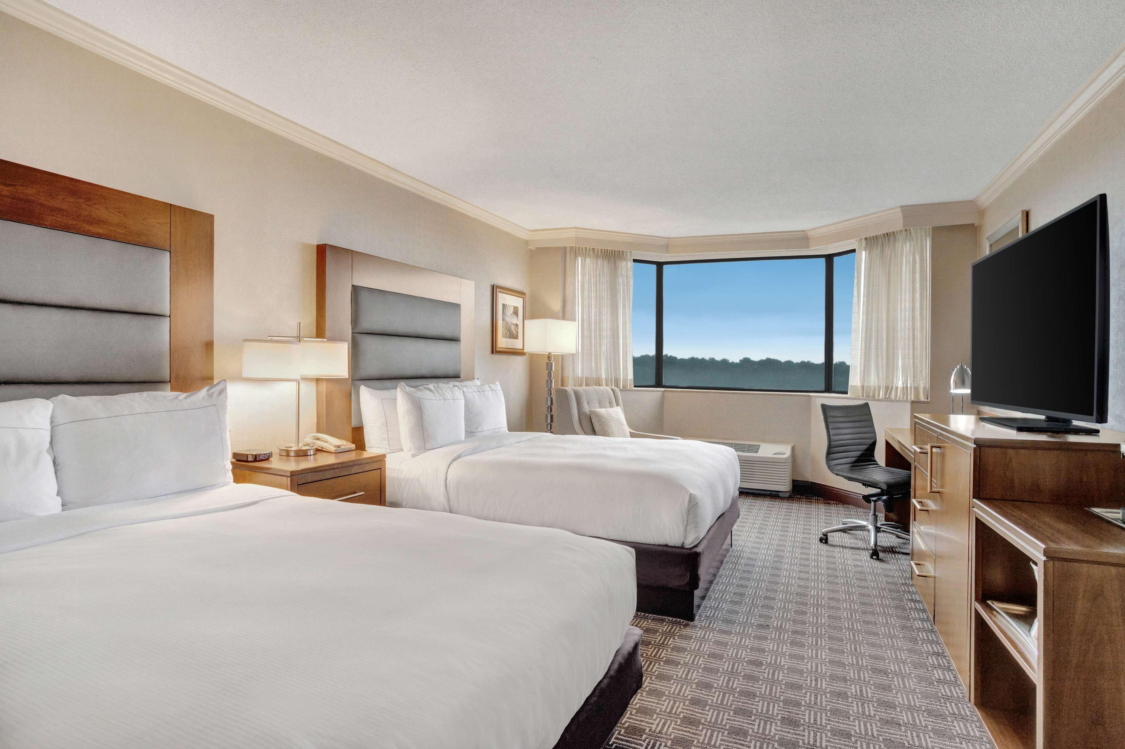 Double Two Queen Beds