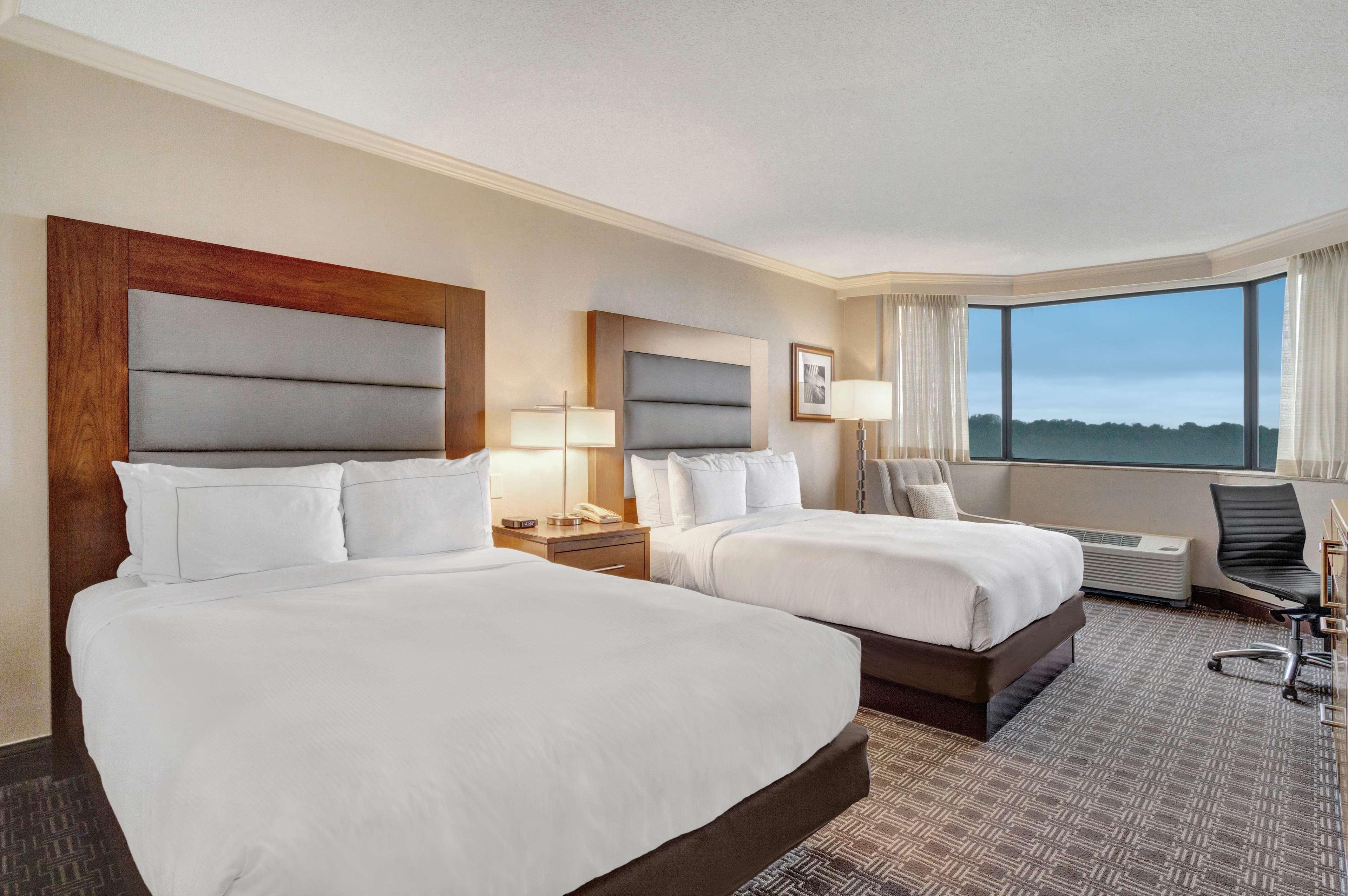 Double Two Queen Beds