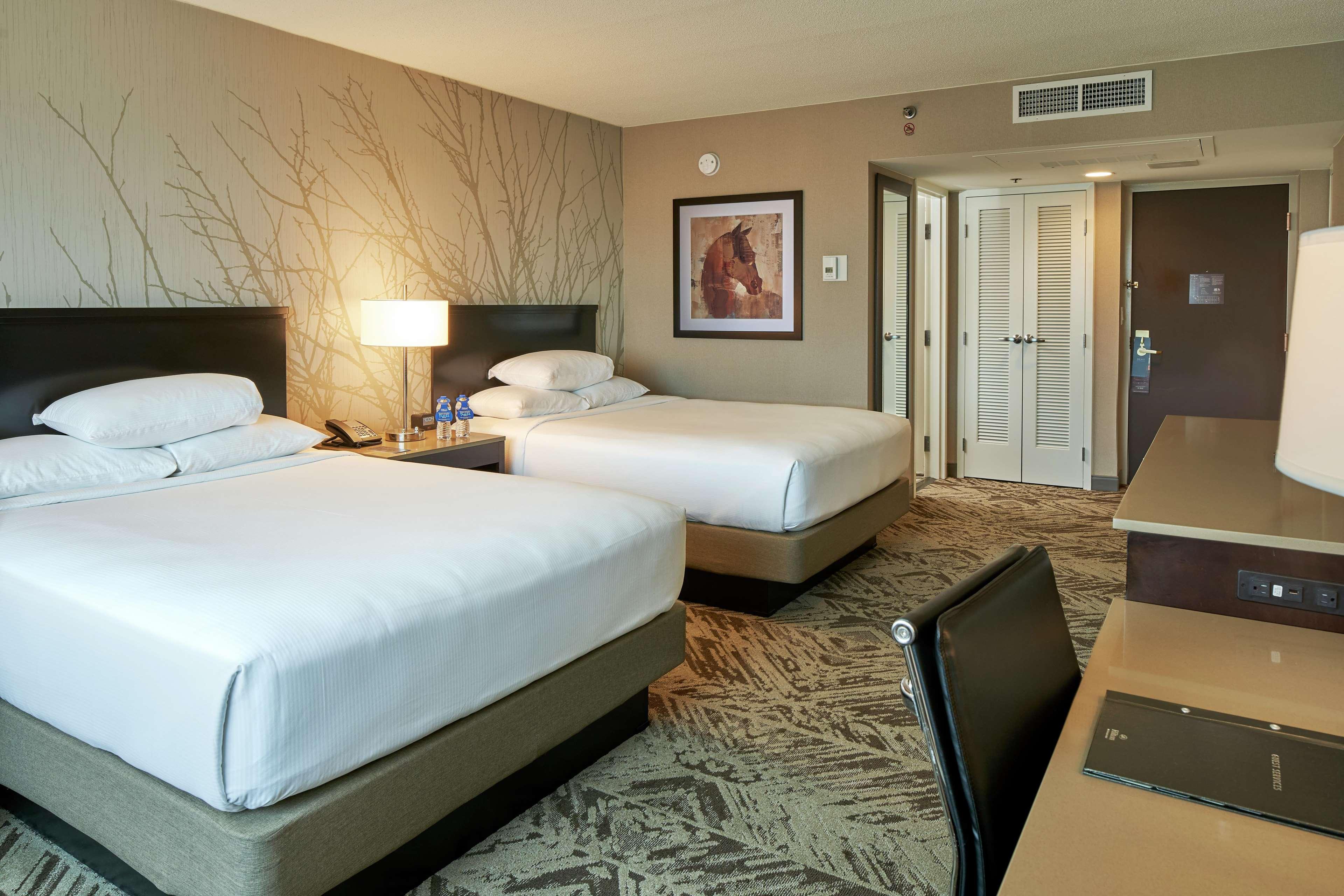 Double Two Queen Beds