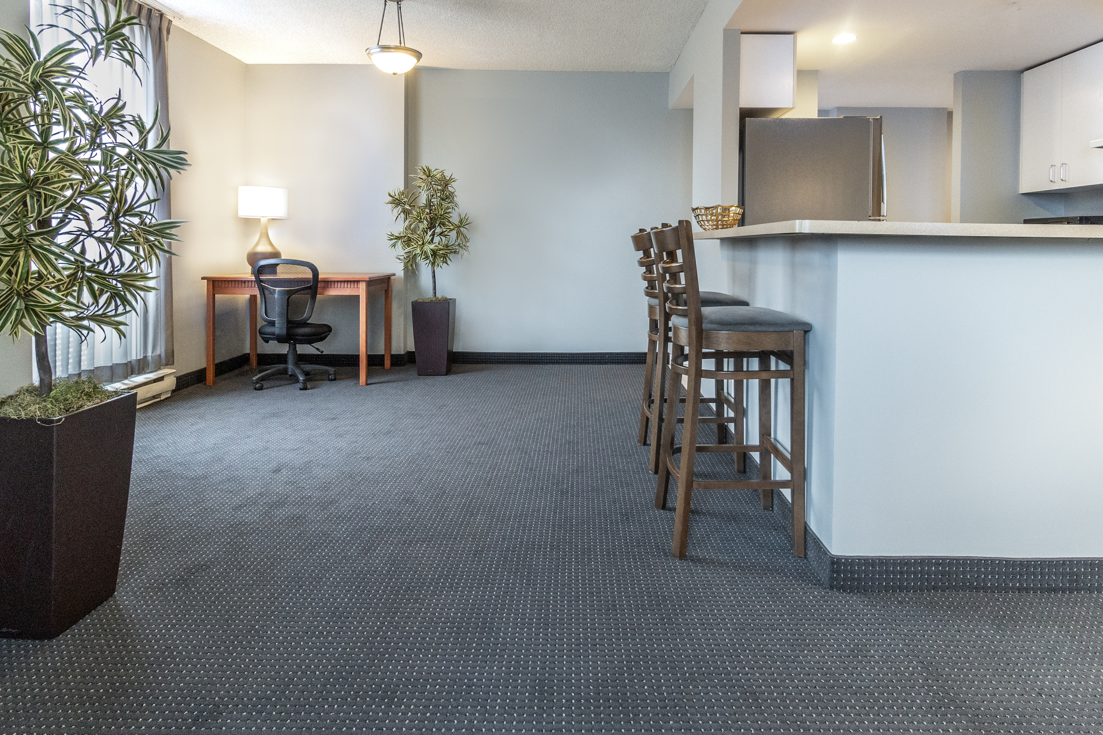 Suite King Bed One Bedroom 