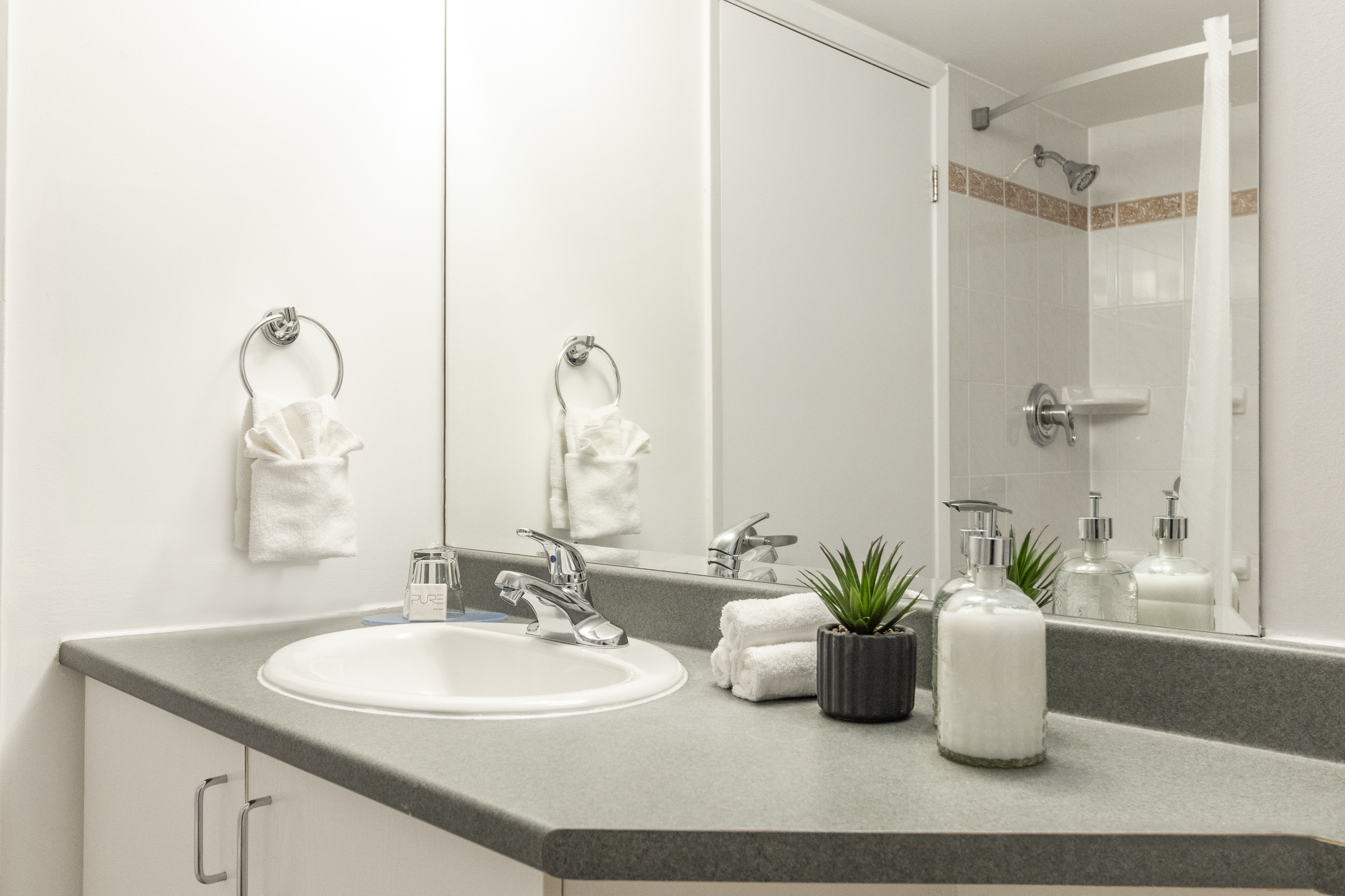 Studio Two Queen Beds