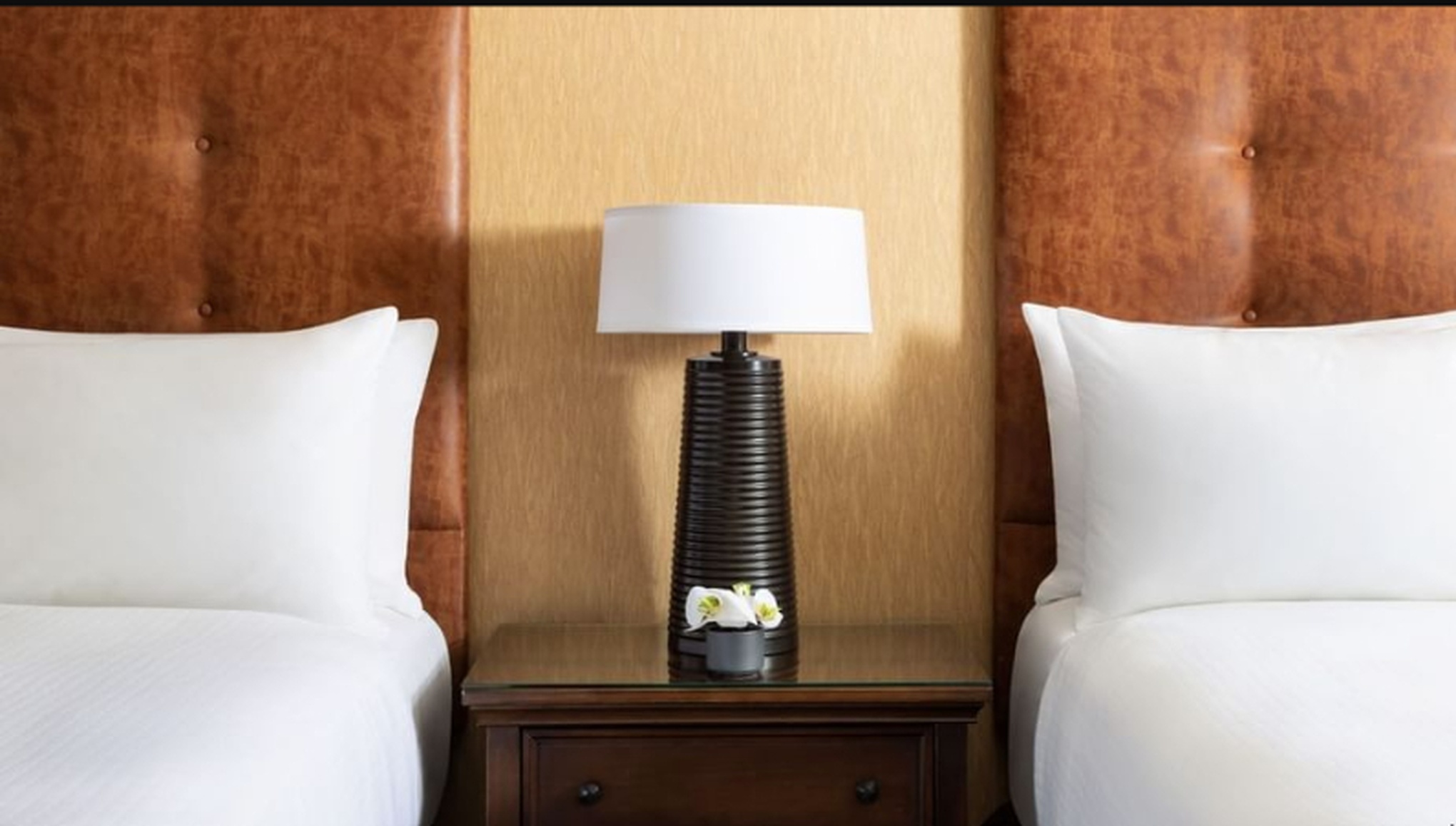 Double Two Queen Beds