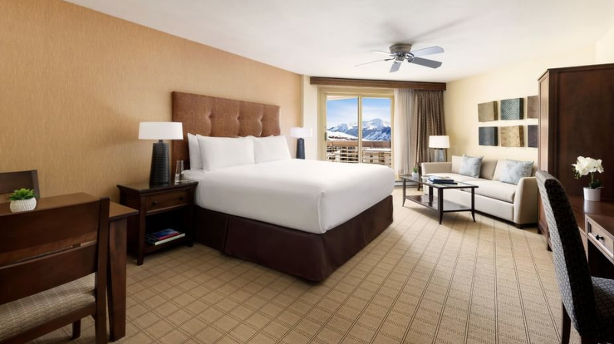 Room with Views
