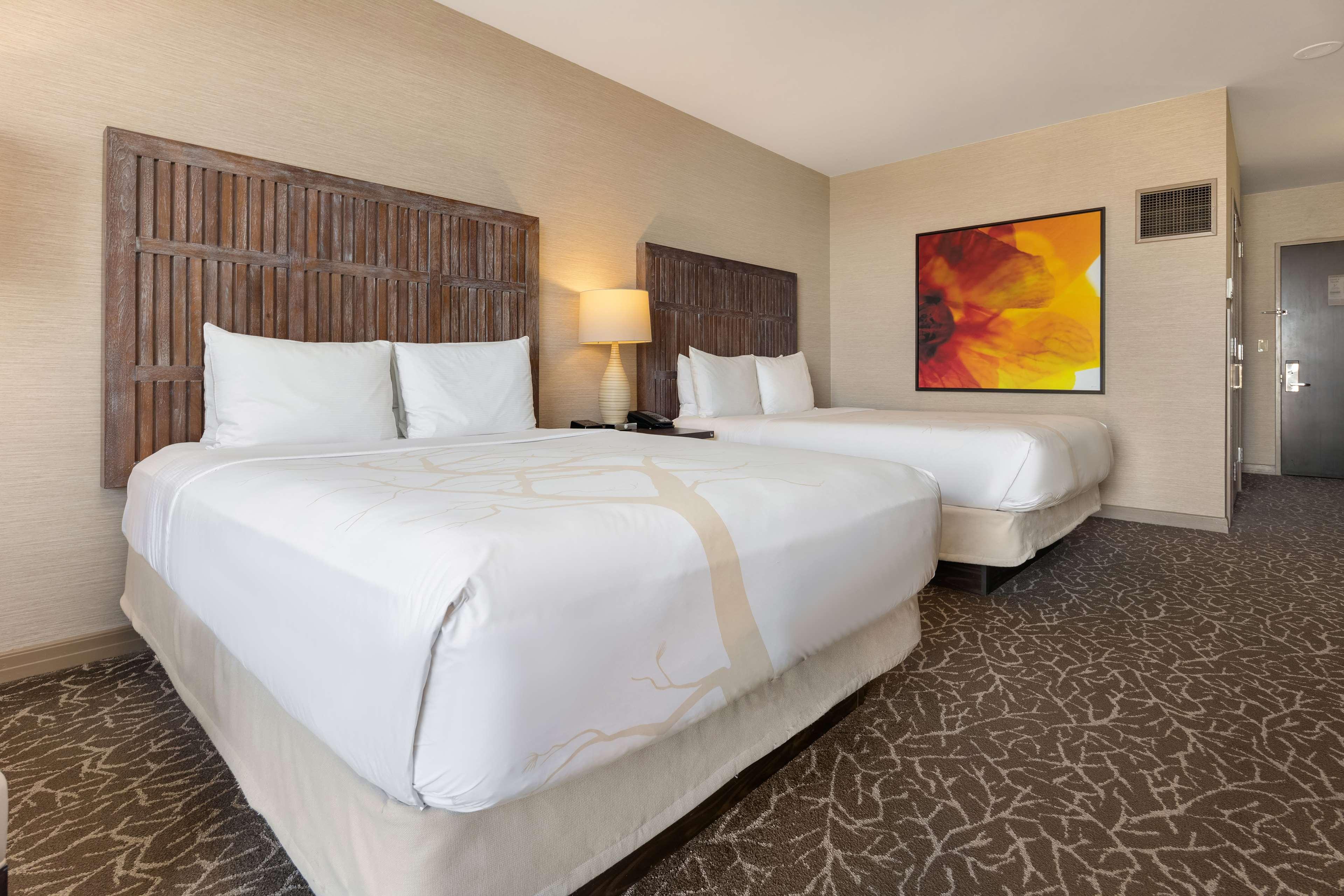 Double Two Queen Beds