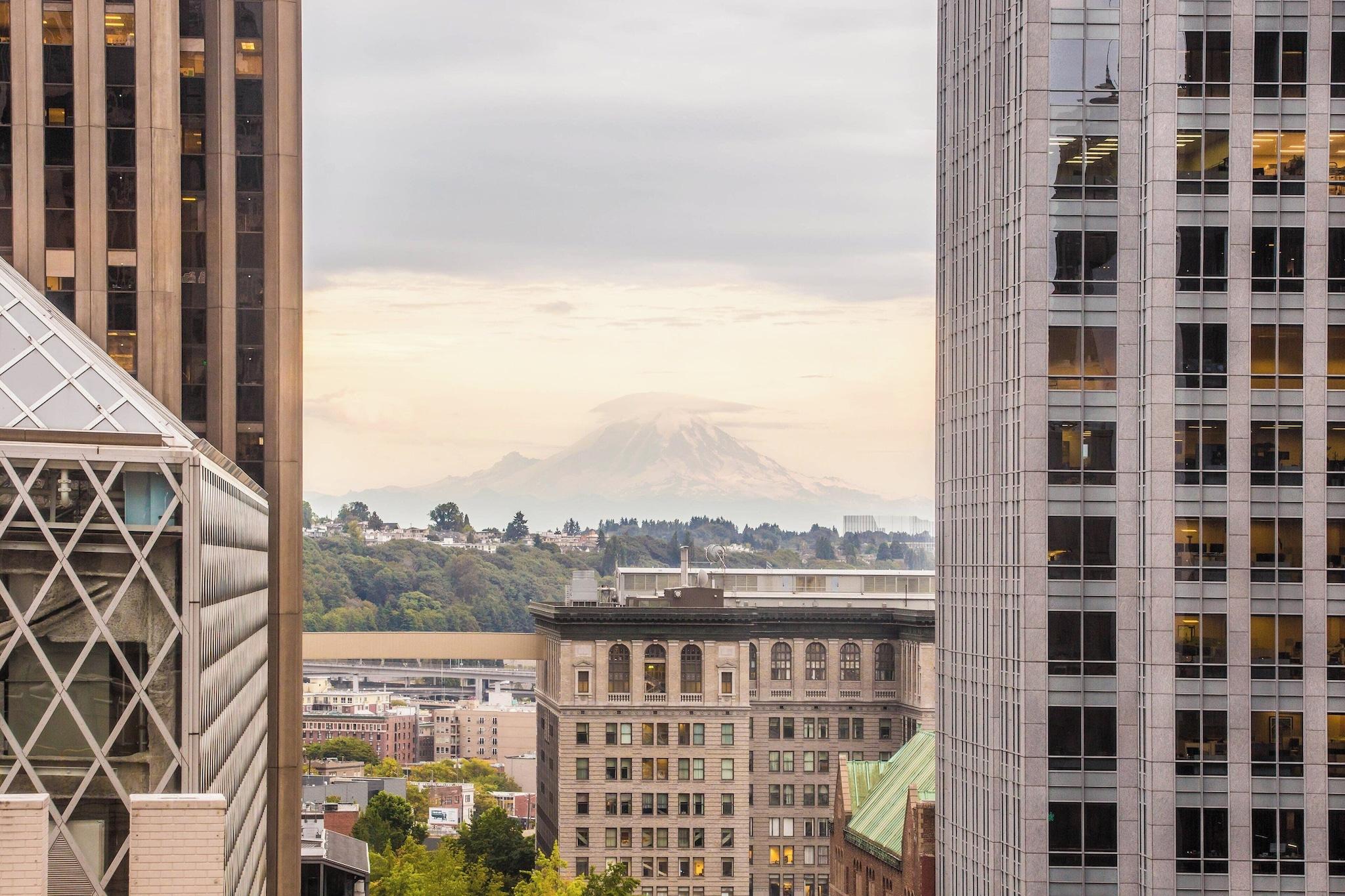 Double Mountain View