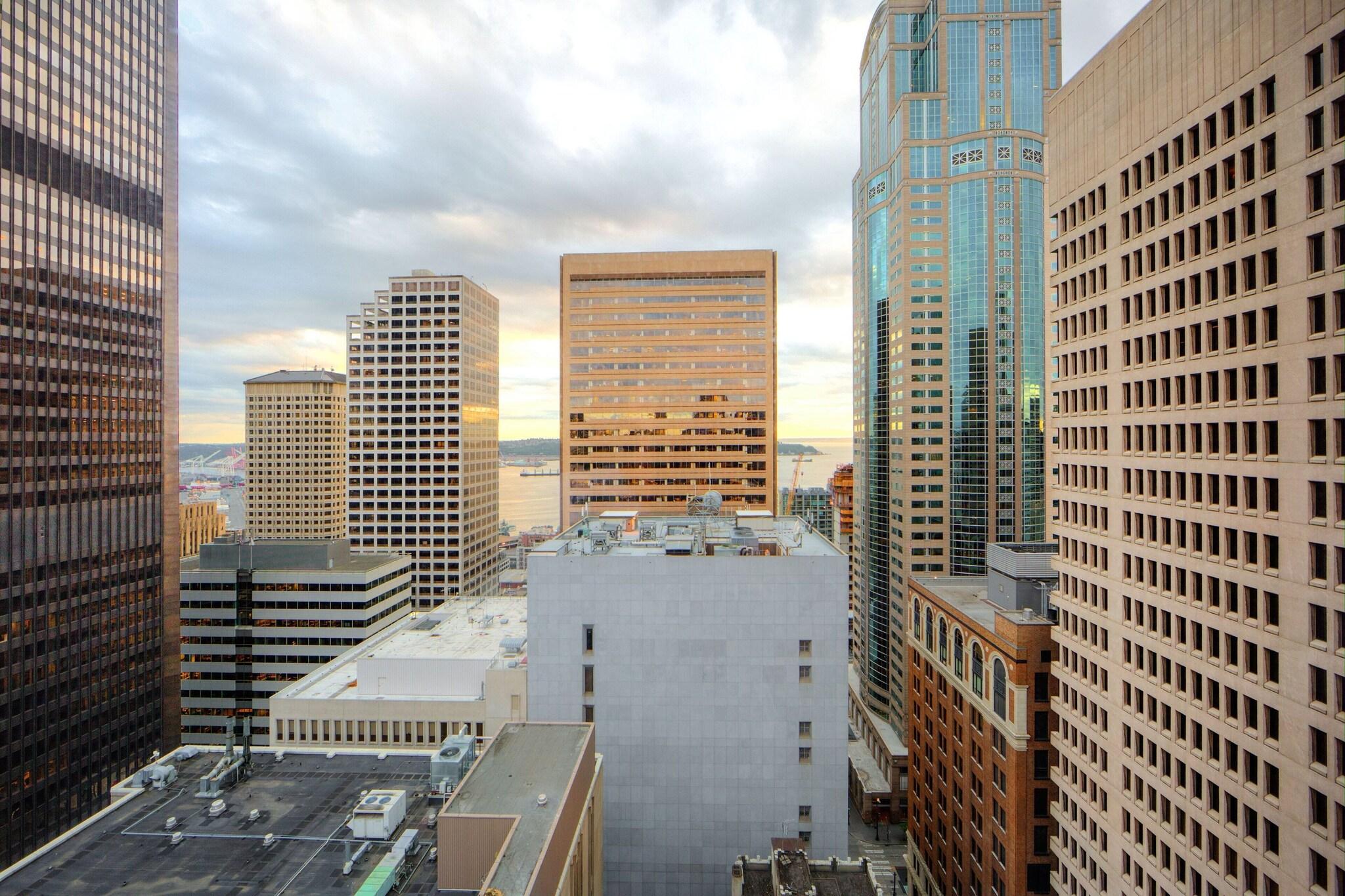 Studio Accessible King Size Bed