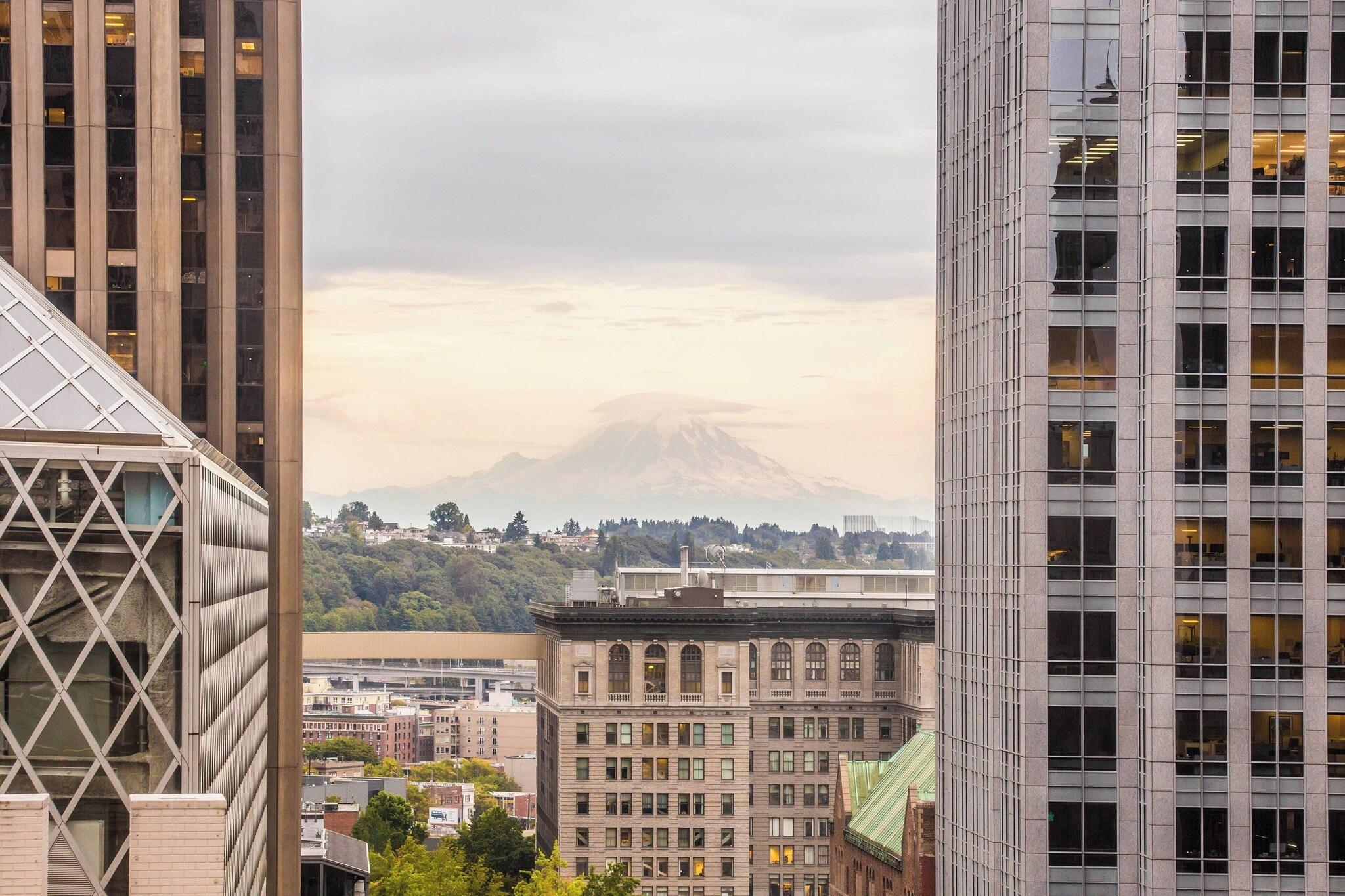 Double Deluxe King Bed