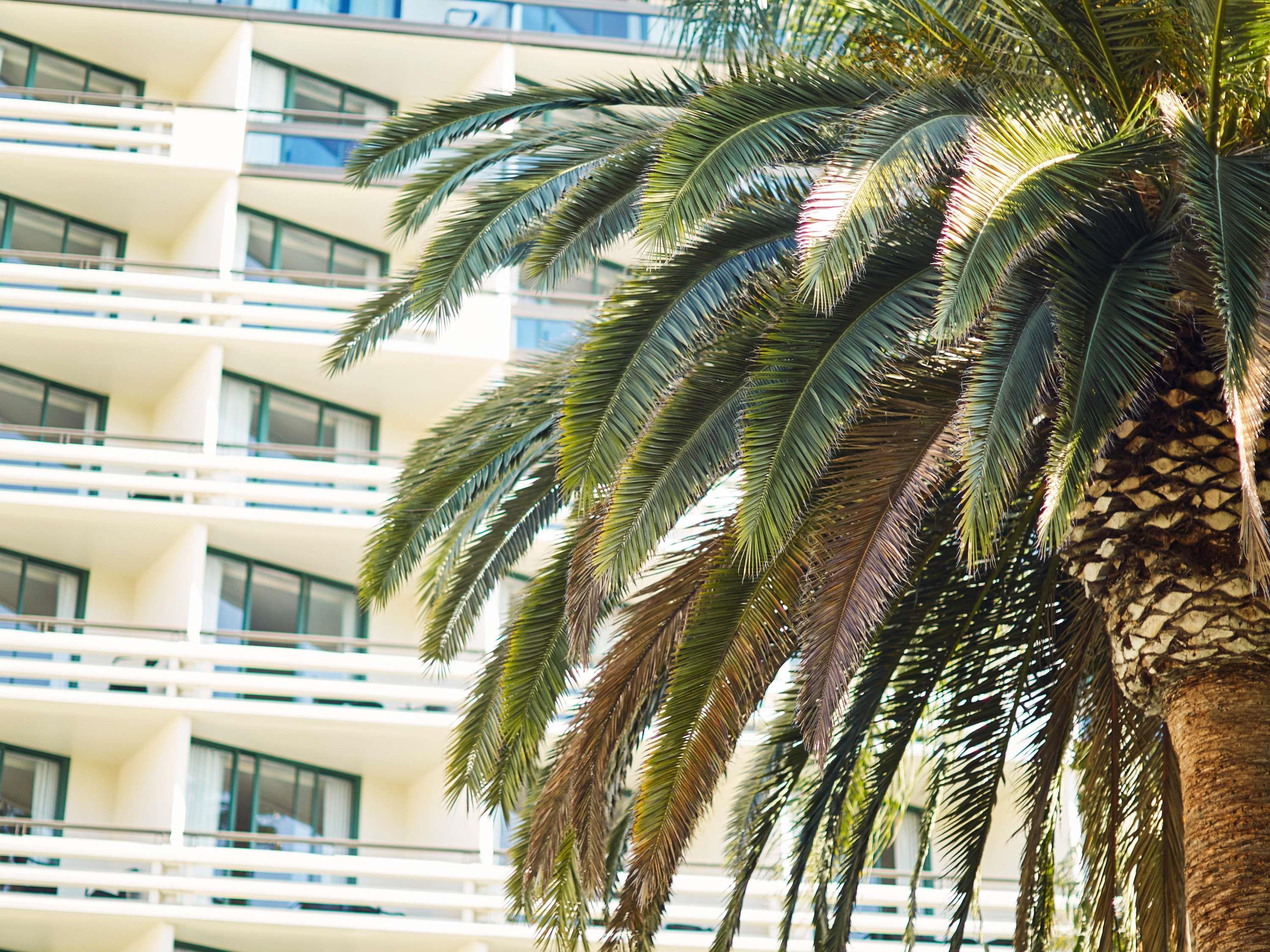 Double Deluxe Two Double Beds