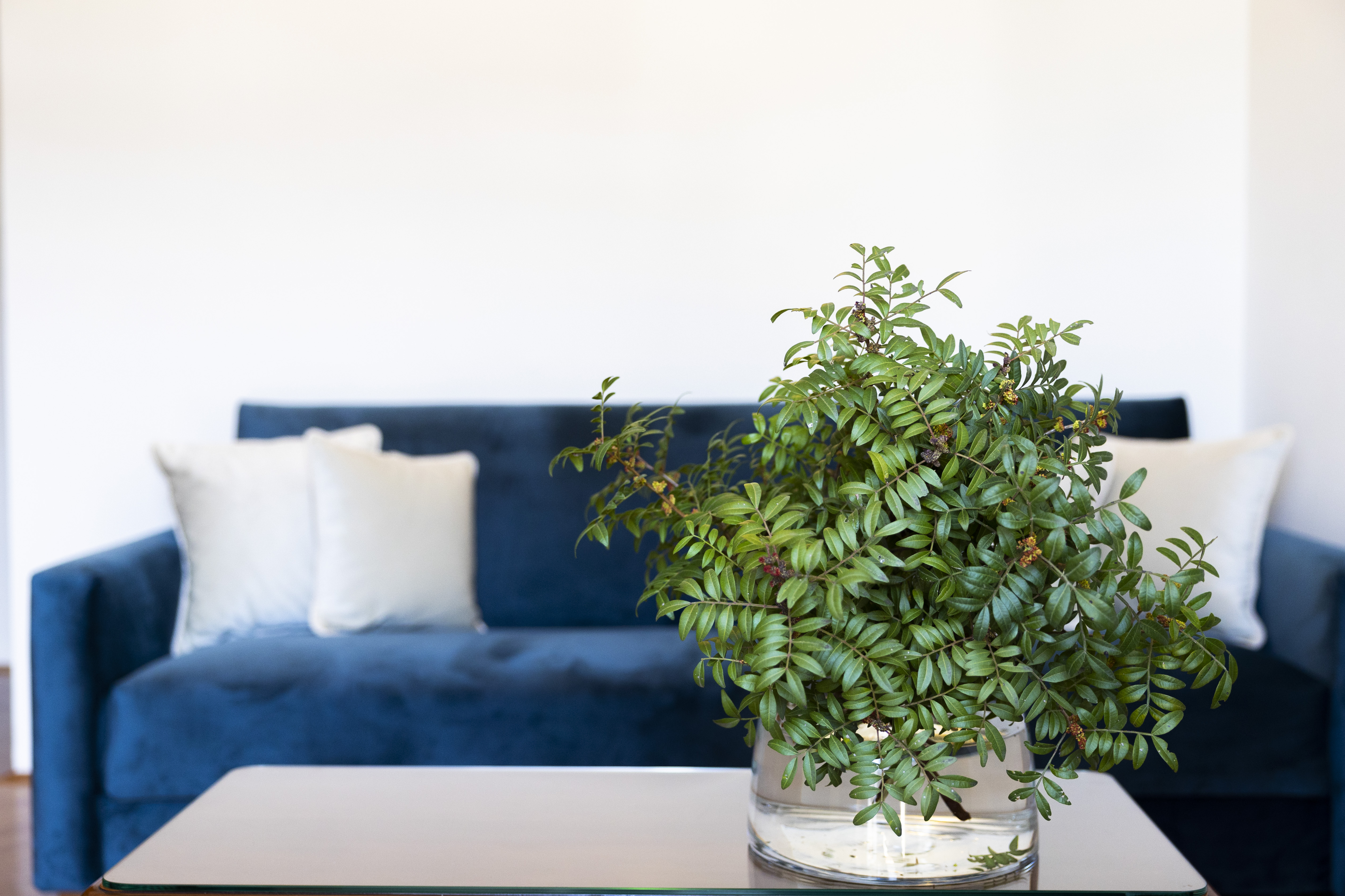 Junior Suite with Balcony