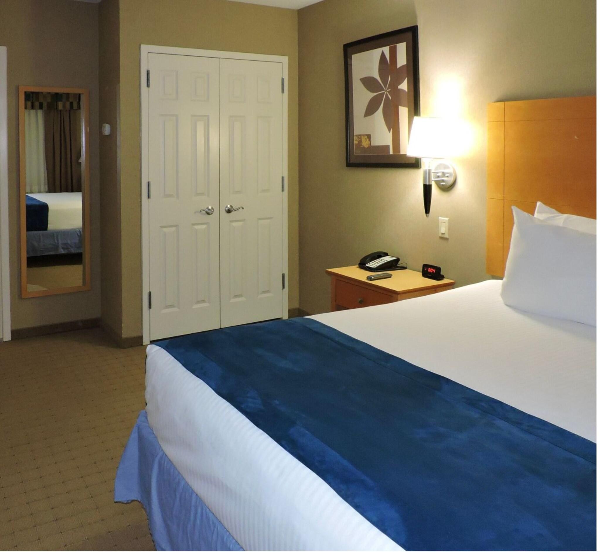 Suite Executive King Bed