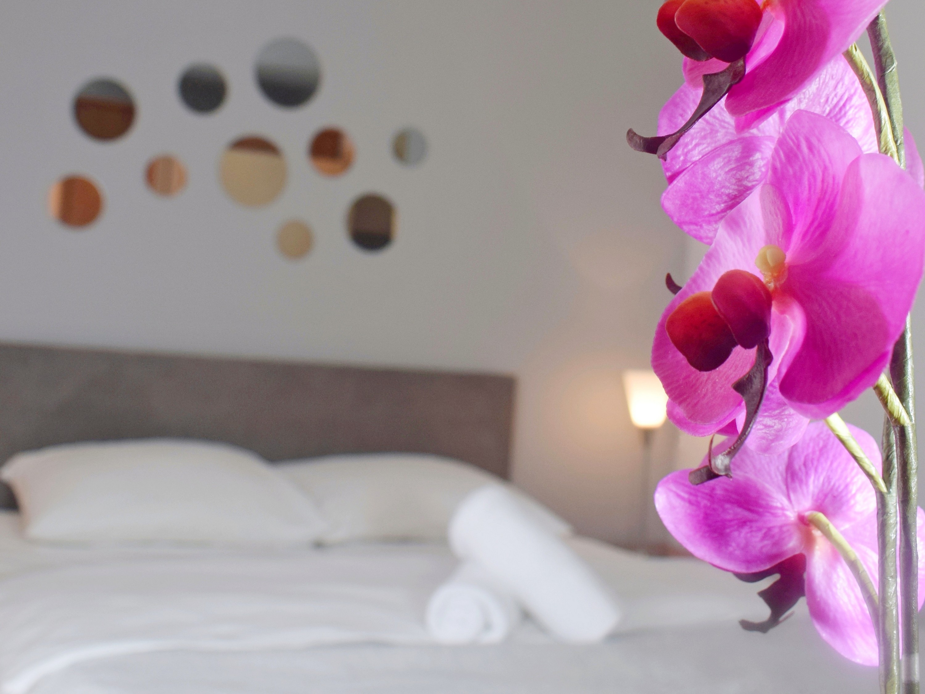 Apartment One Bedroom