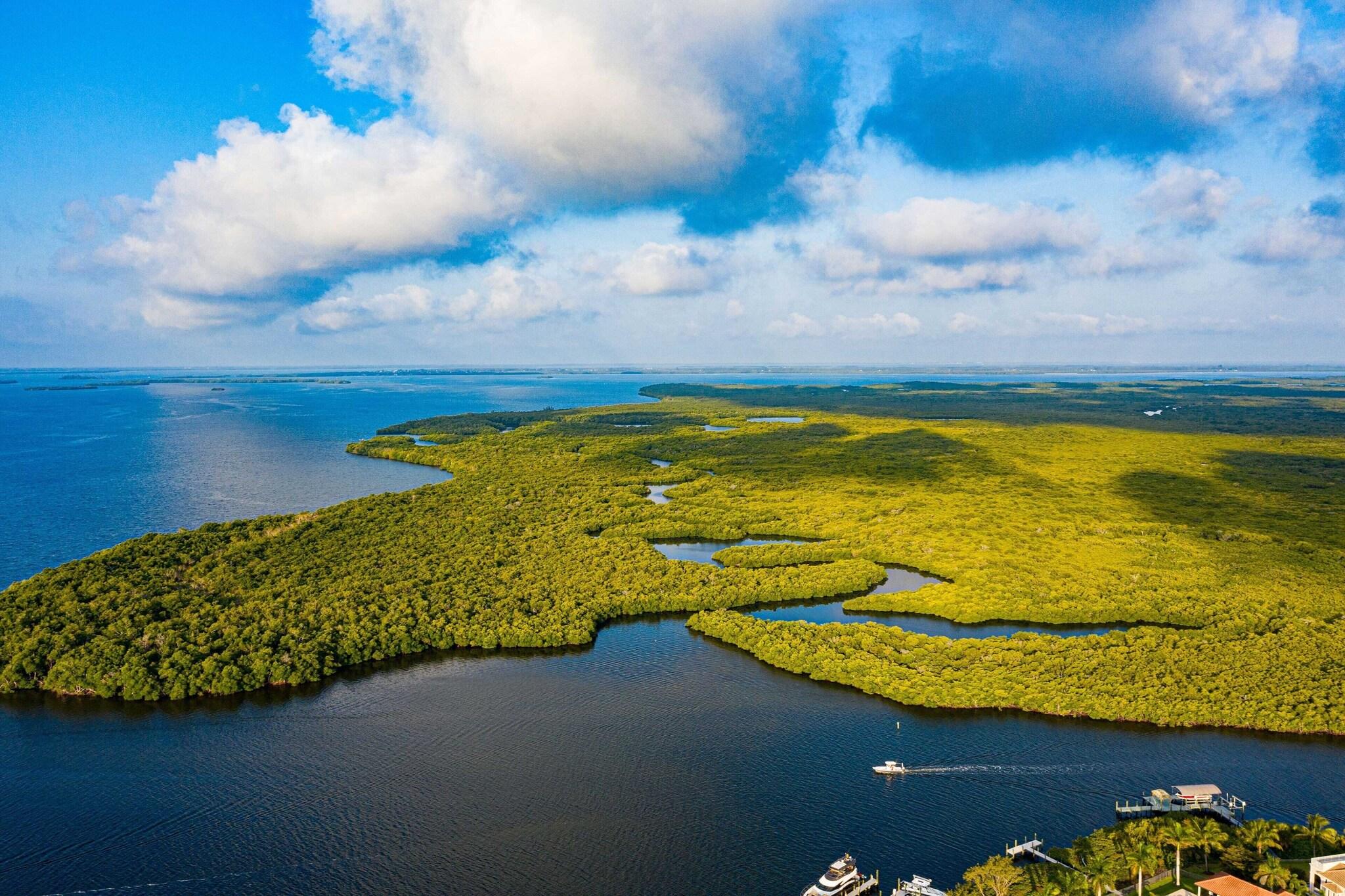 Double Deluxe Marina View