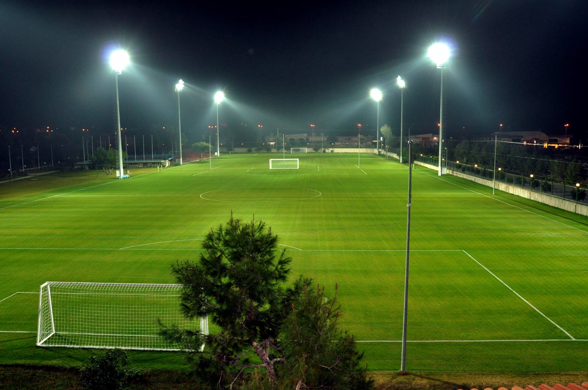 Sports and Entertainment