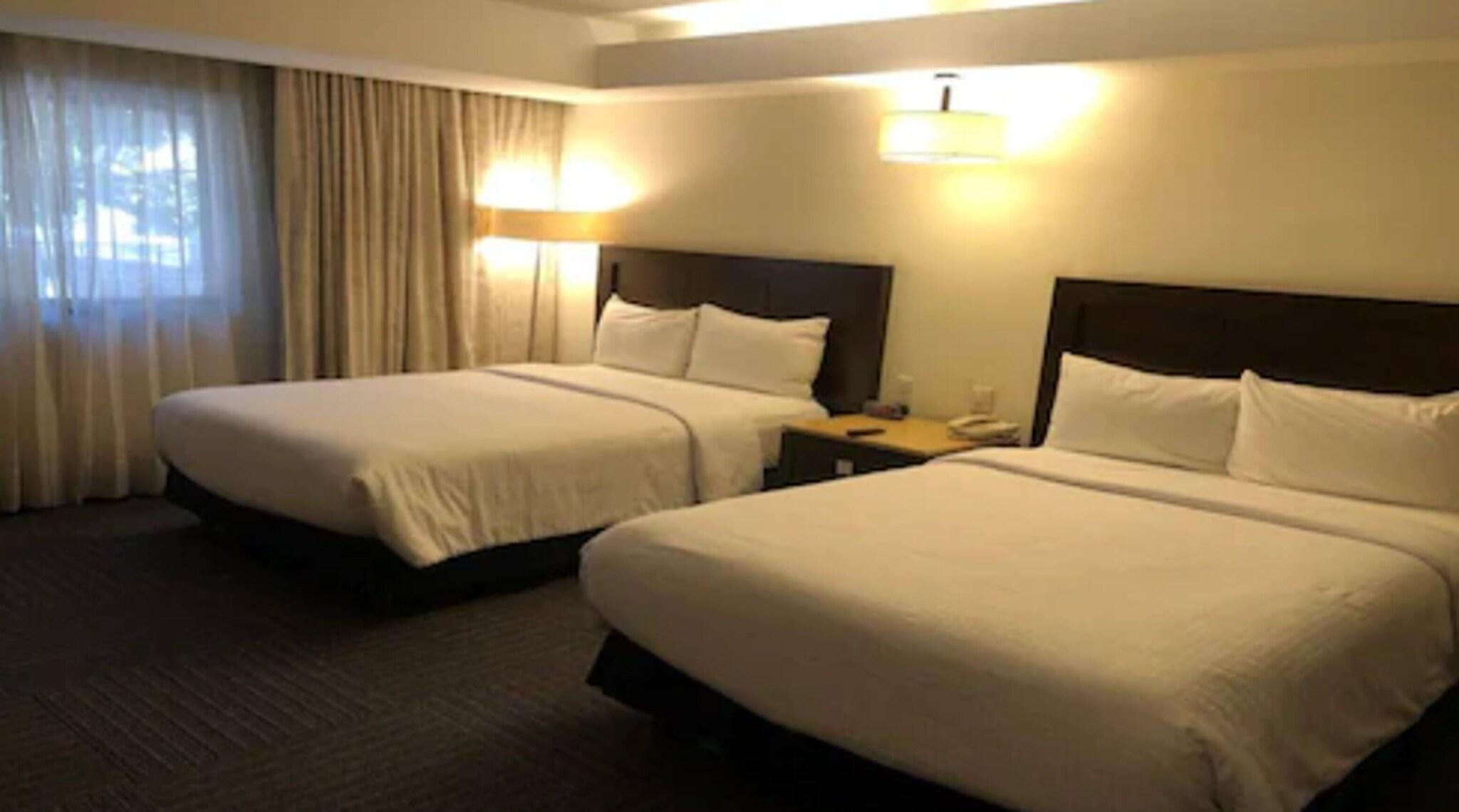 Double Executive 2 Double Beds