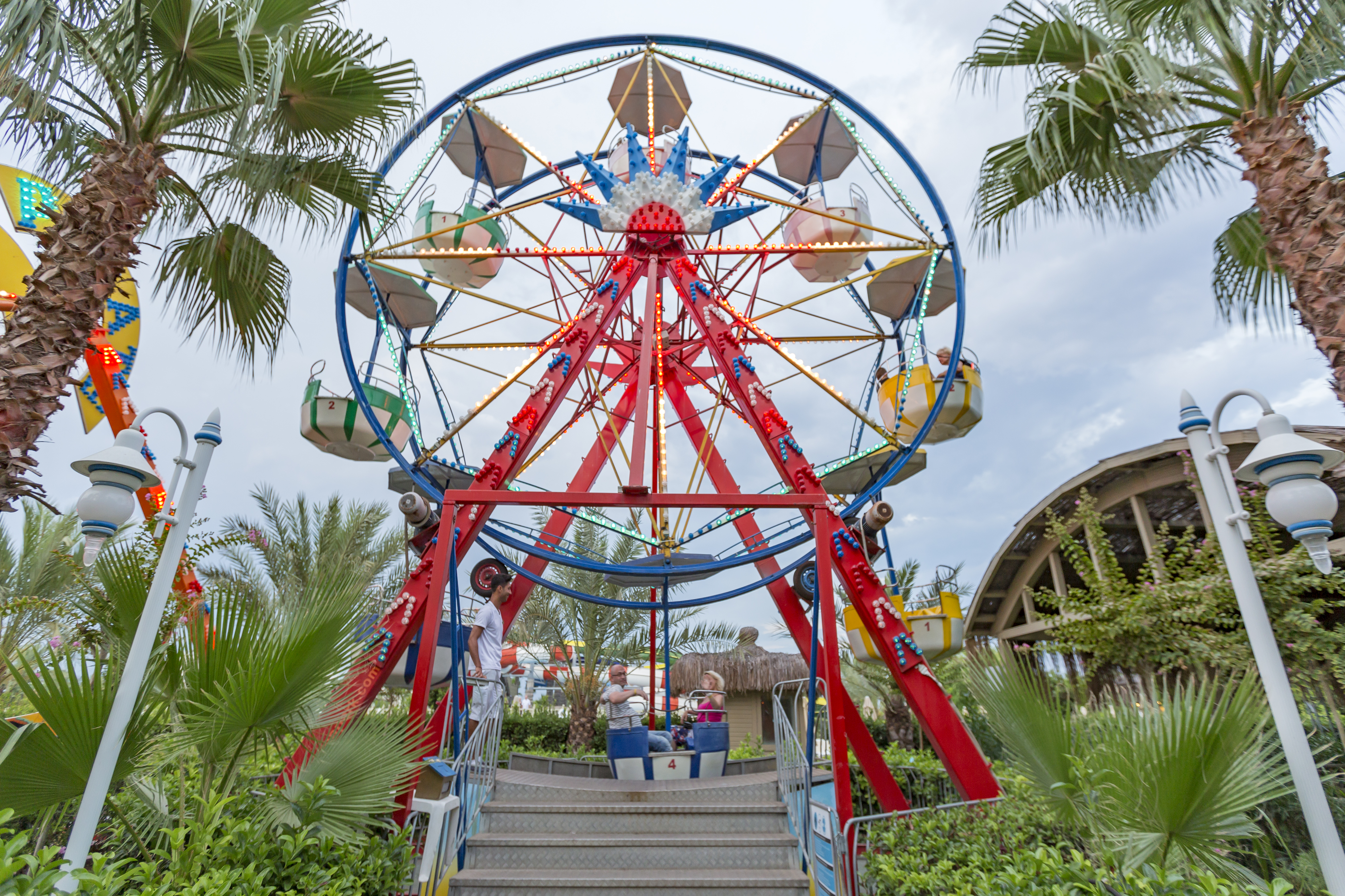 Sports and Entertainment