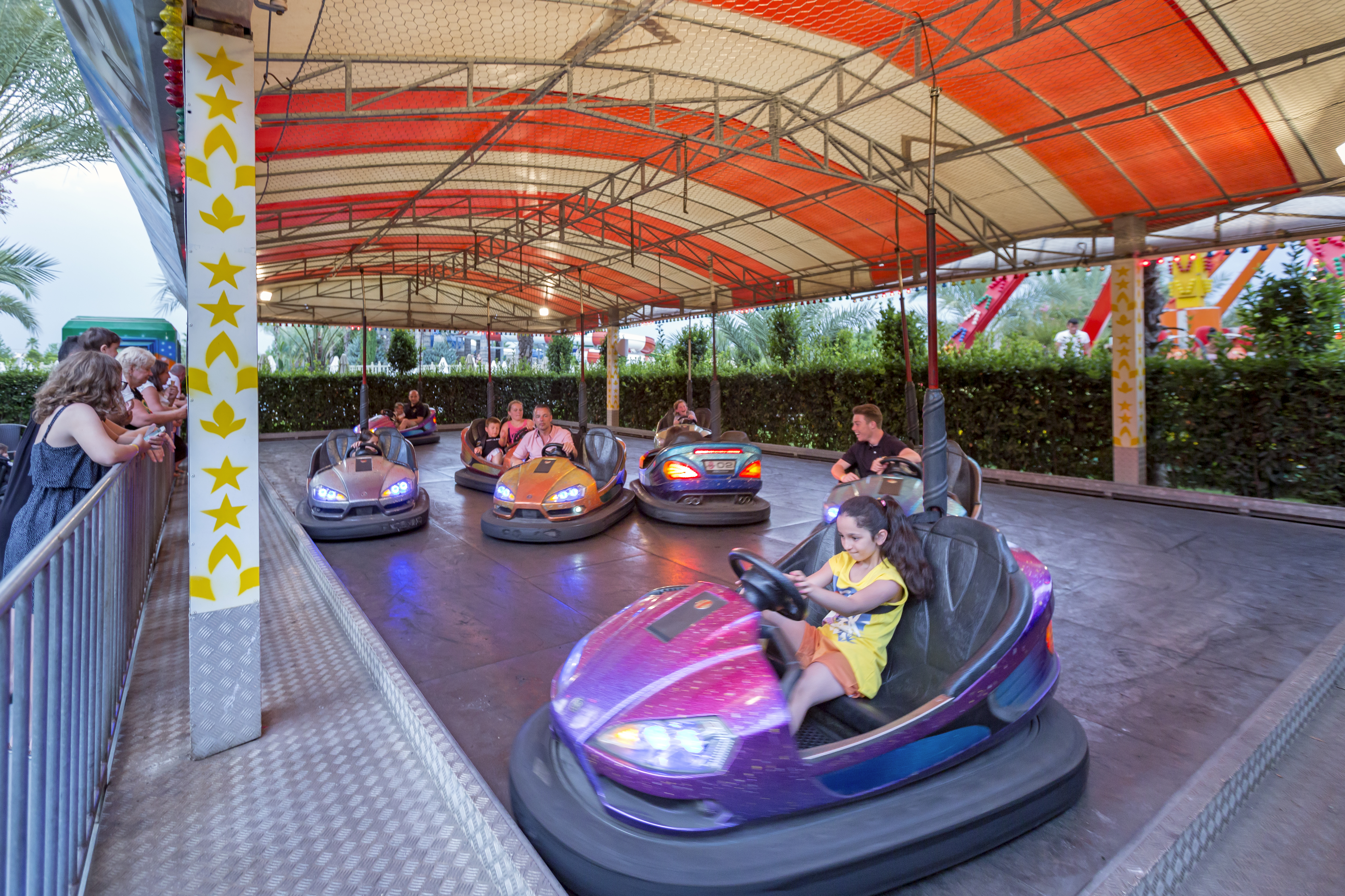 Sports and Entertainment