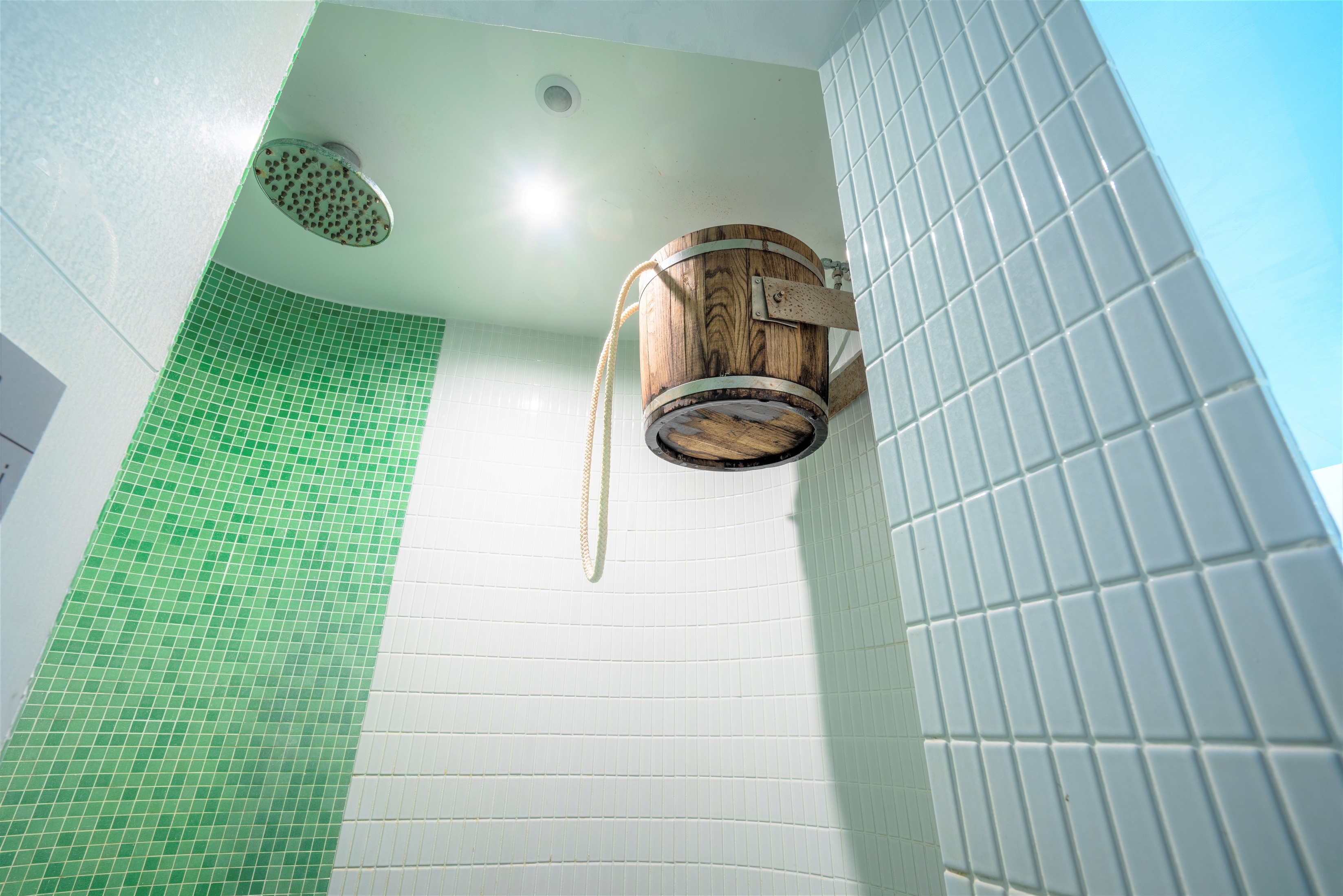 Double or Twin Economy