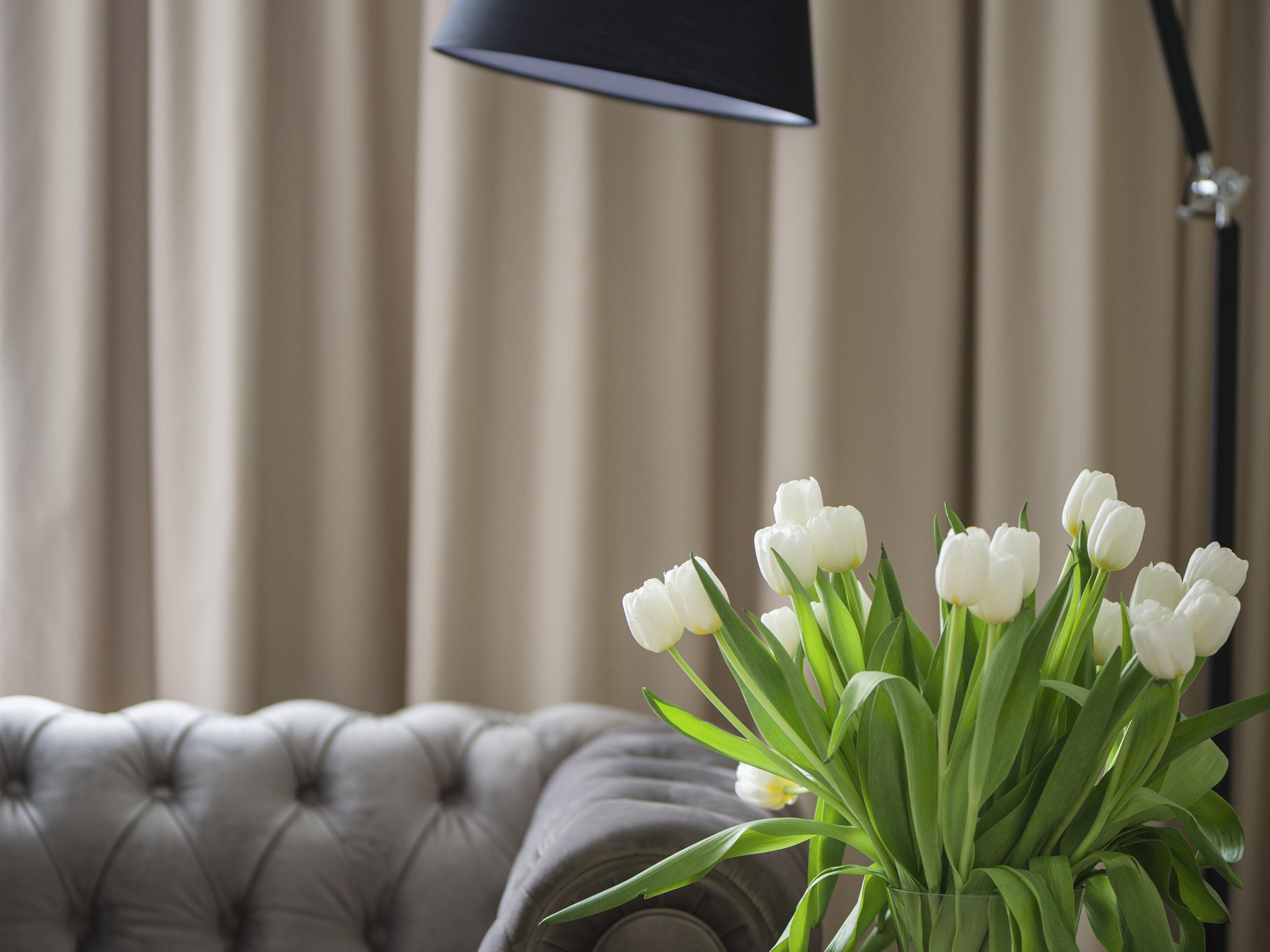 Suite with Double Bed